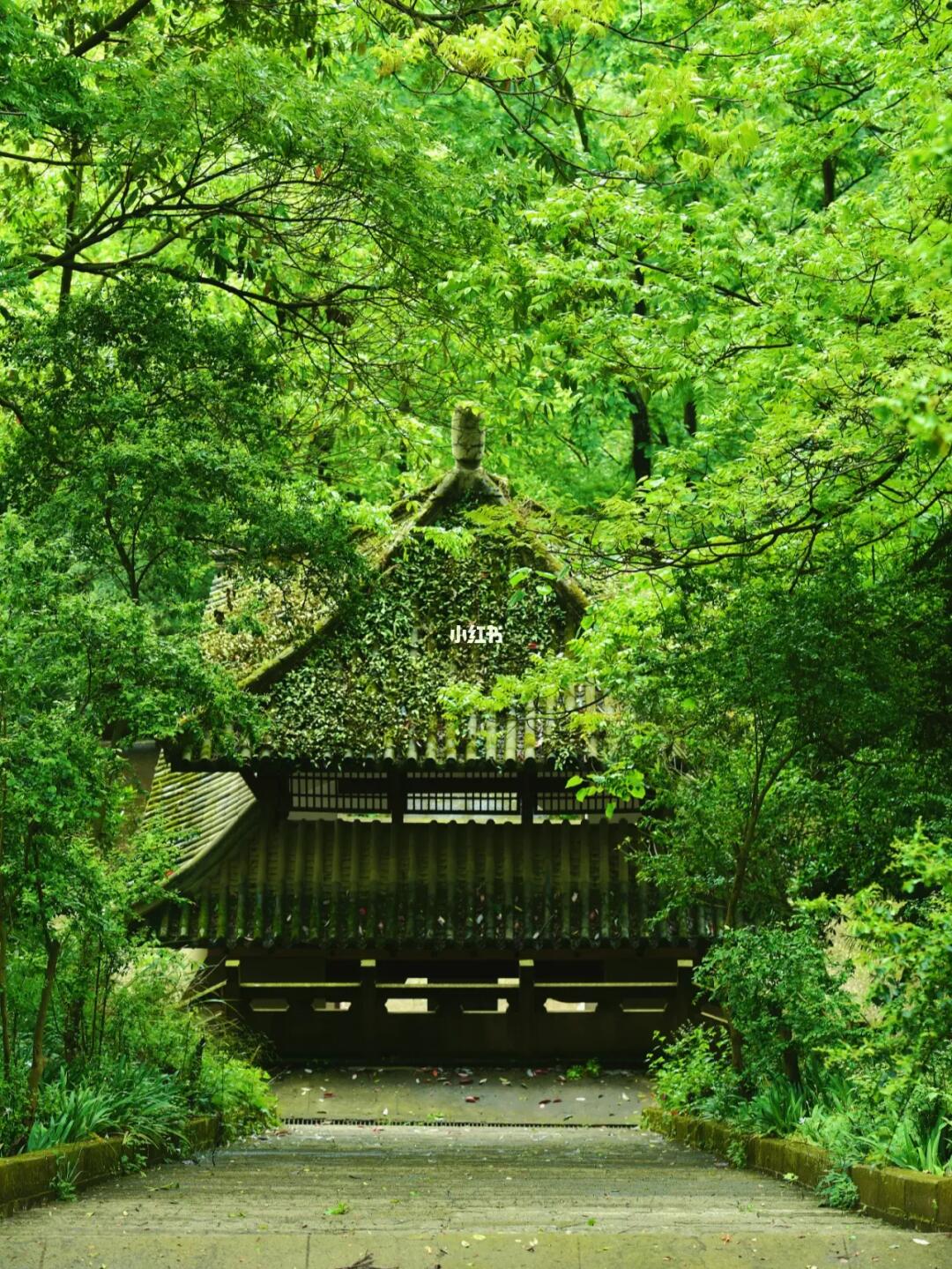 成都1.5h｜超值得体验的小众文化爬山路线
