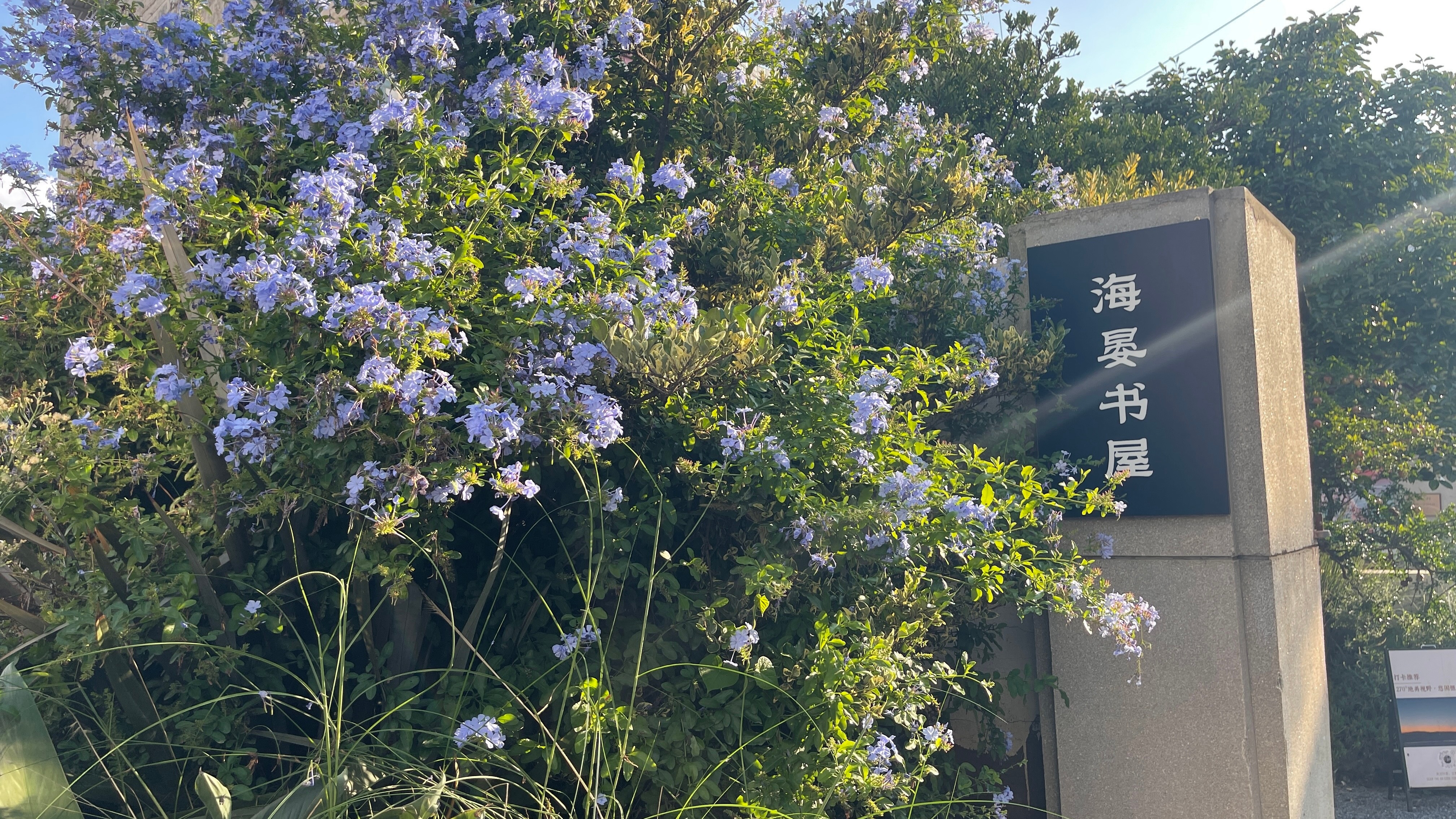 海.宴.村翻版.双.廊 
