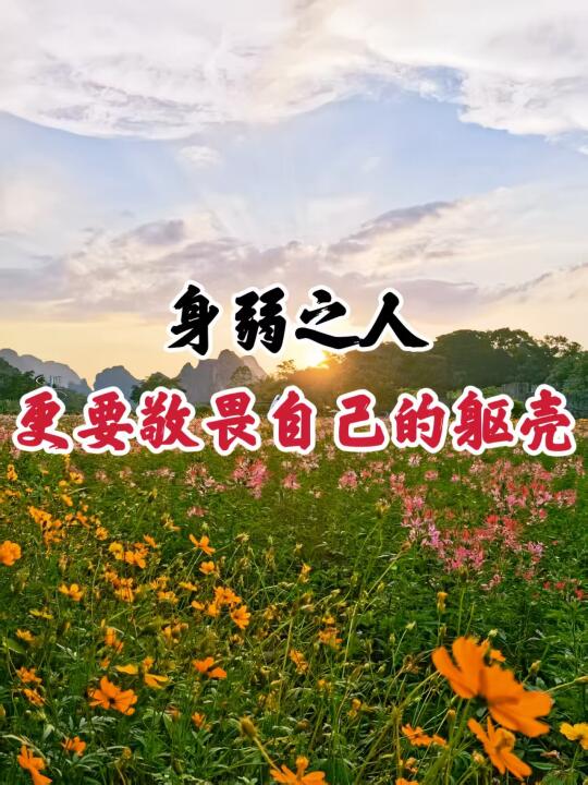 养生人真心话|养生多年，我最大的领悟是
