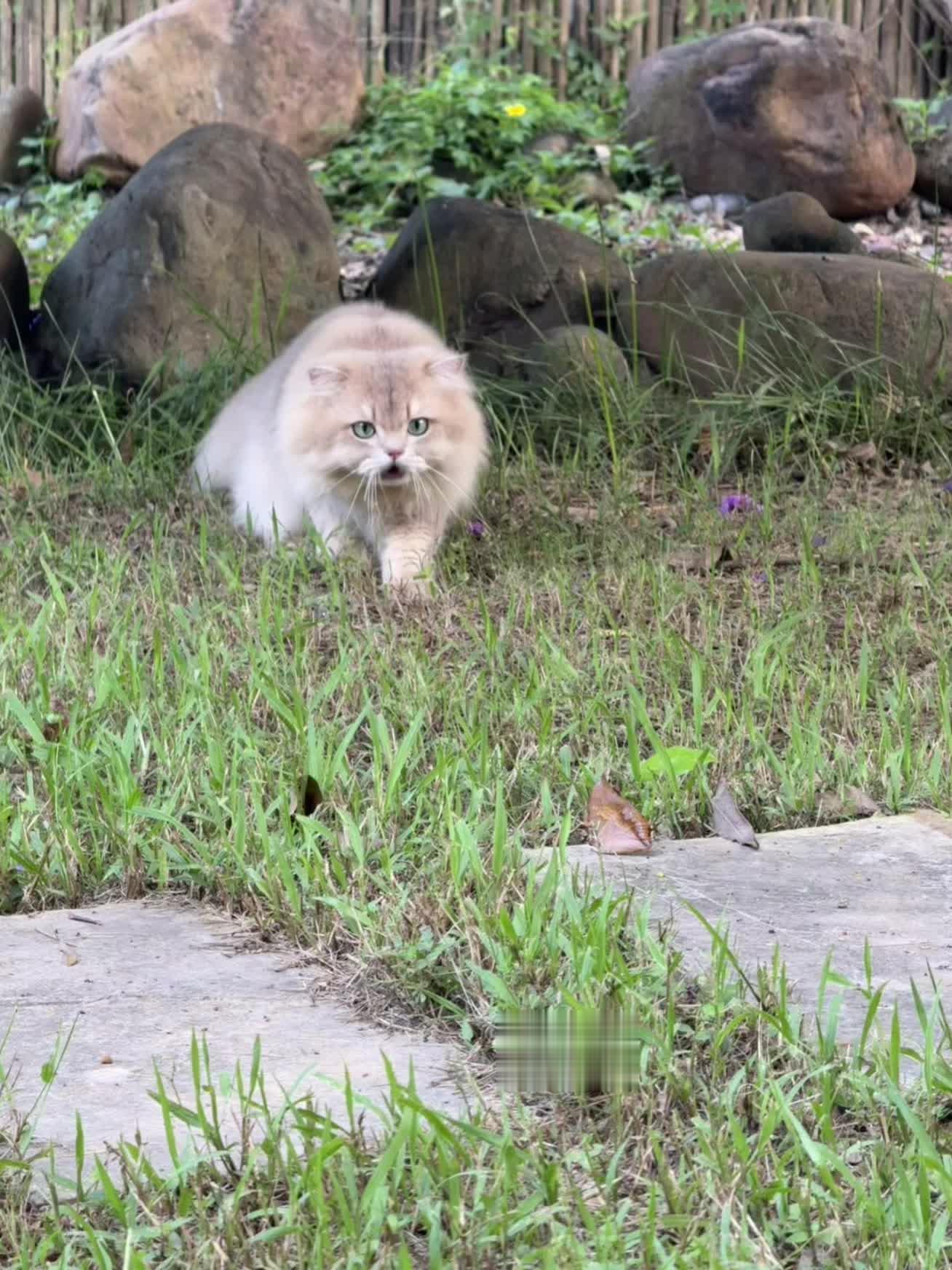 小朋友不用羡慕，别的孩子有的咱也有～