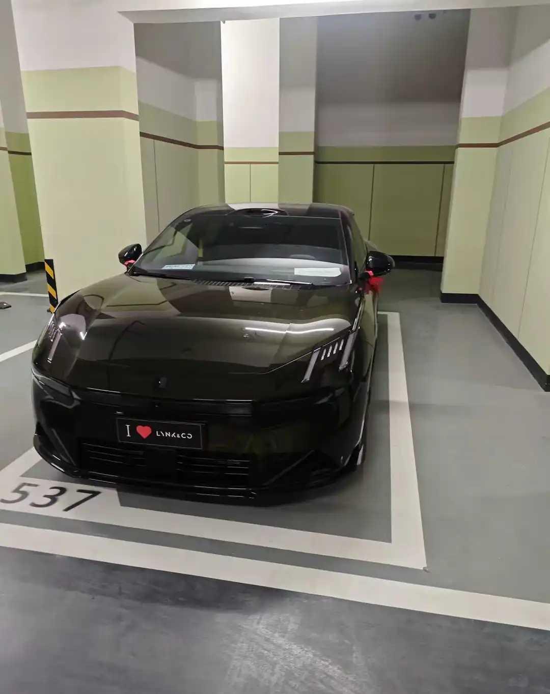 网友：提了辆新车，家里人却都不认识，这个牌子很小众吗？