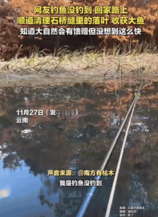云南一女子钓鱼，一下午啥也没钓到，不料，回家时竟然在一个石头缝里，发现了一条大鲤