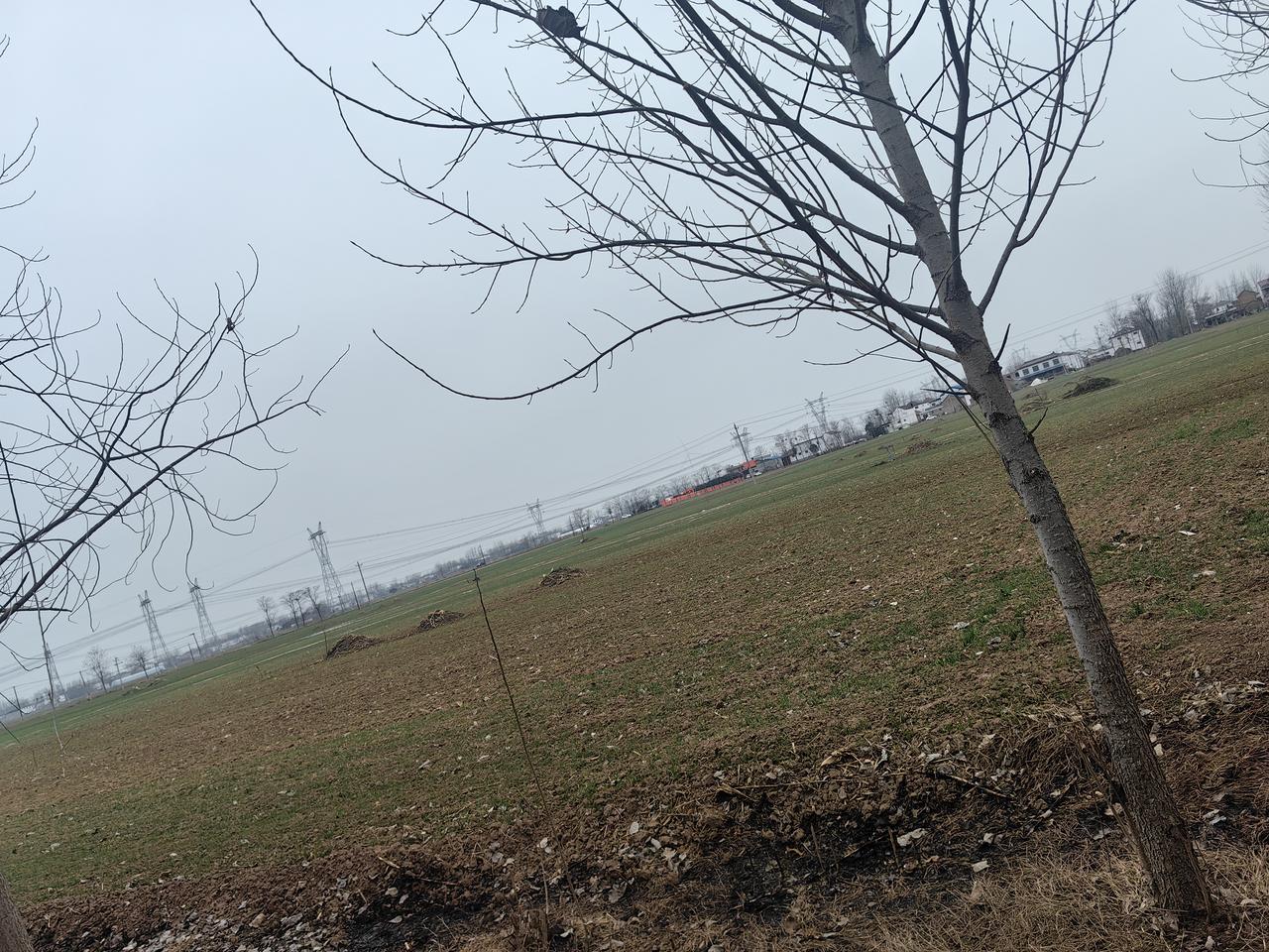 盯着空白的编辑框，已经是我坐在电脑前的第三个小时。绞尽脑汁刚发出去一回的文章，被