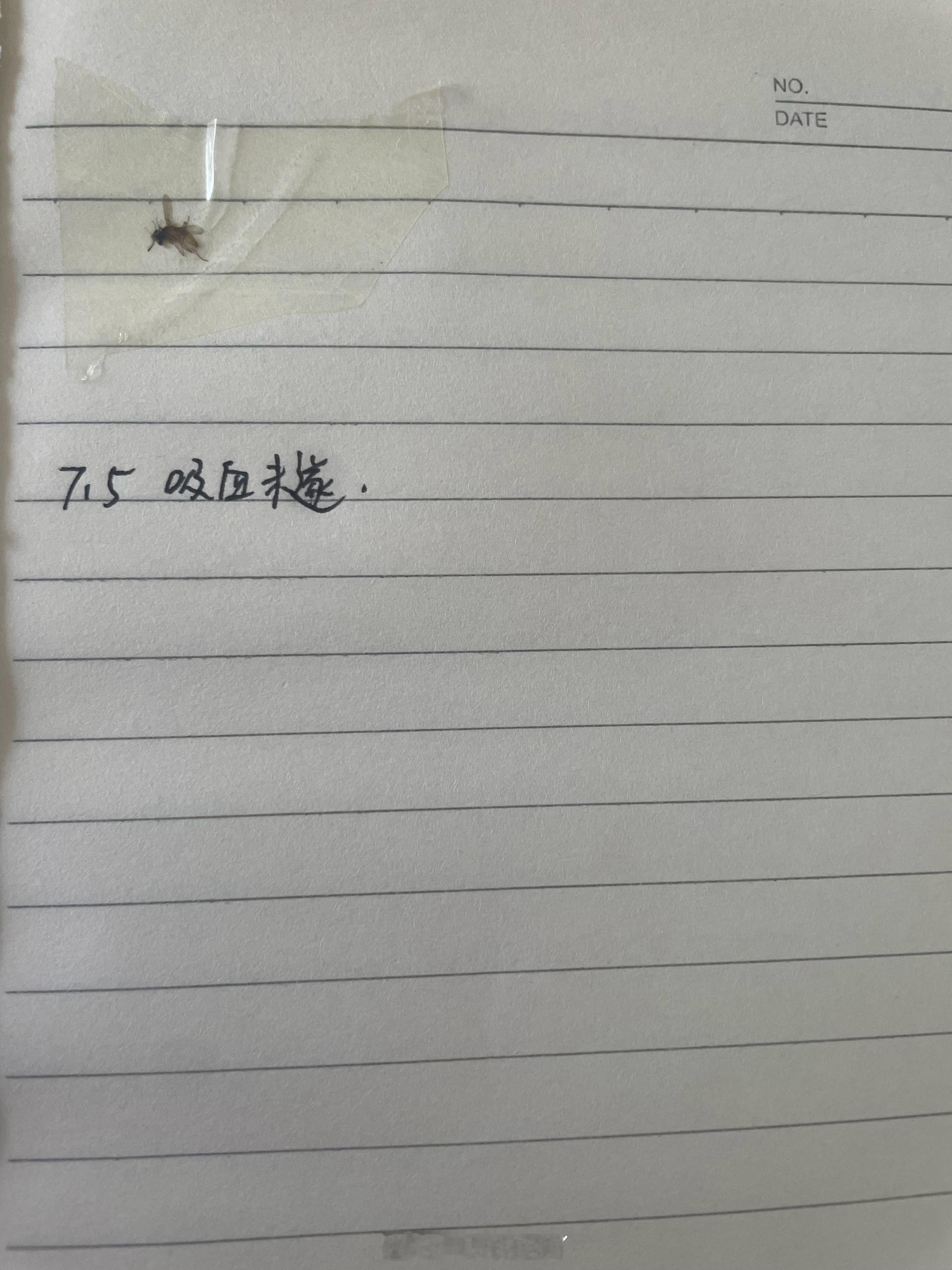 落我手里了 