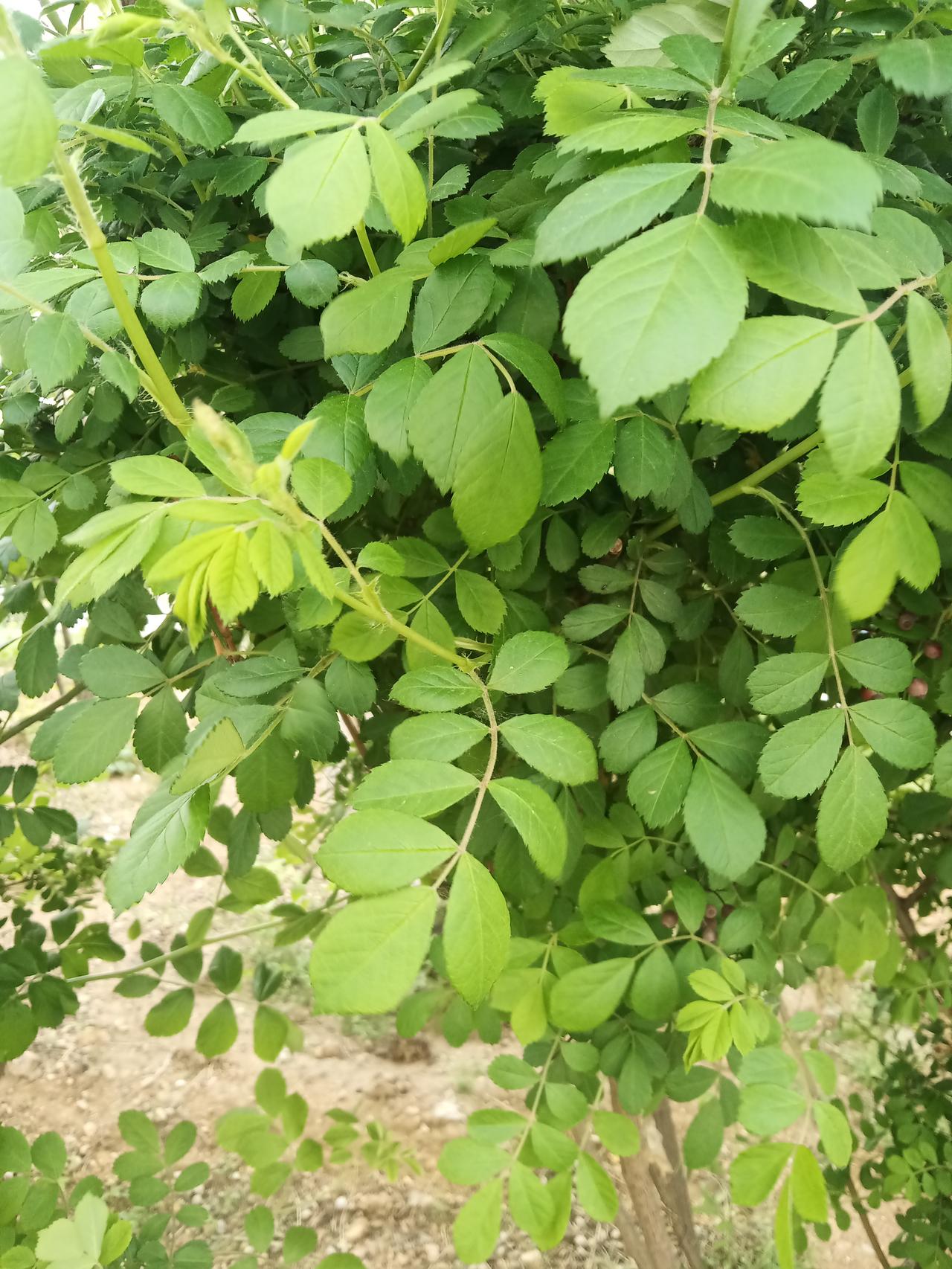 6千块钱一平米买的楼房，结果却卖3千块钱一平，赔的一塌糊涂，哭得昏天黑地，把血汗
