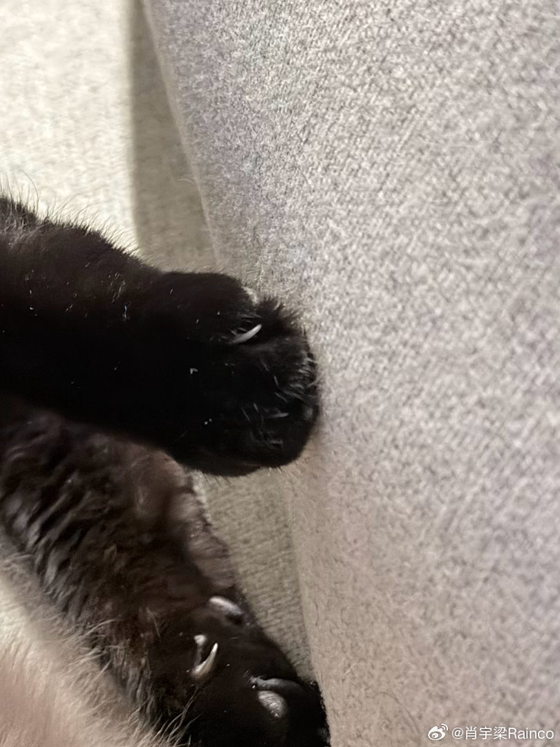 𝟐𝟎𝟐𝟔.𝟎𝟑.𝟐𝟔 🫧 评论配图