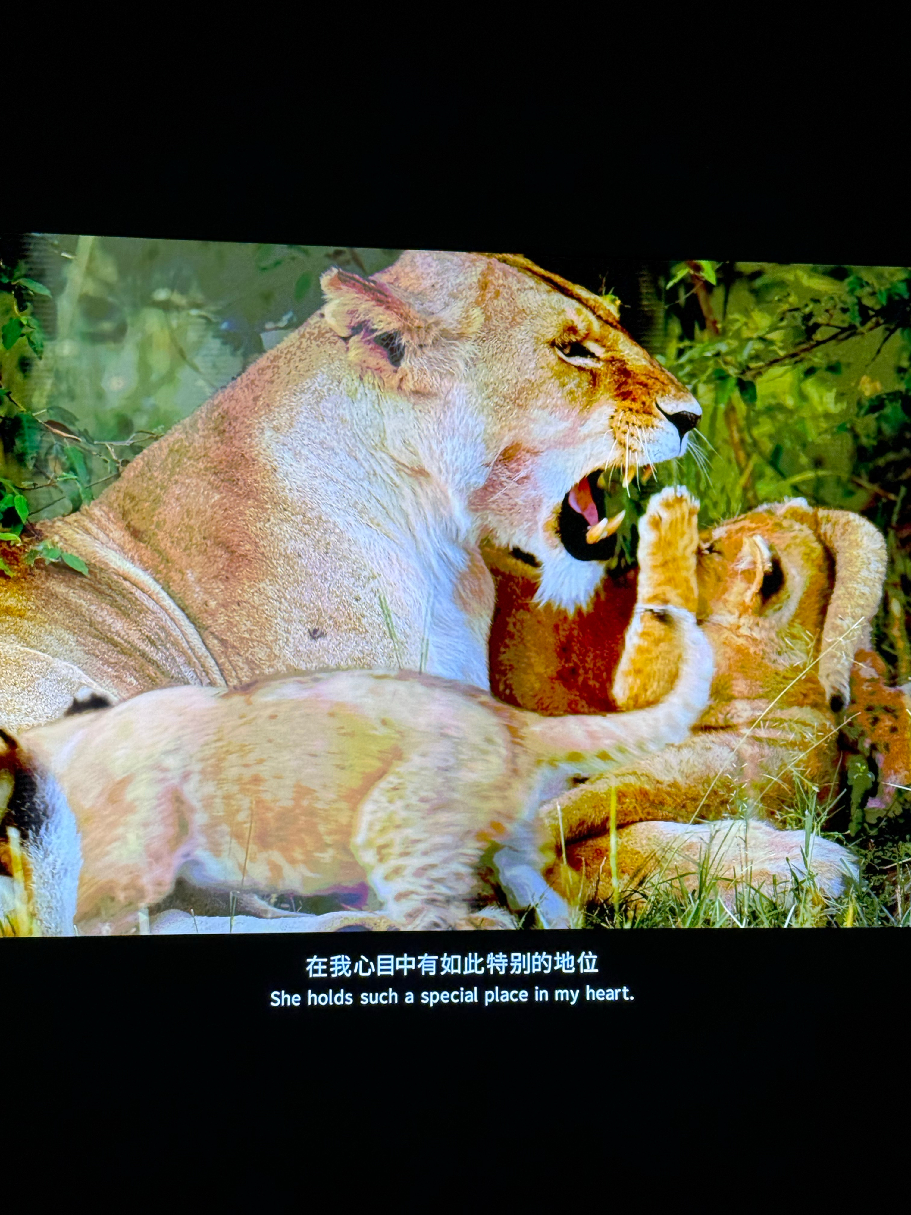人工智涨ultra的行业观察 和两半导体博士……来陶冶情操了…… 这屏幕太屌了…