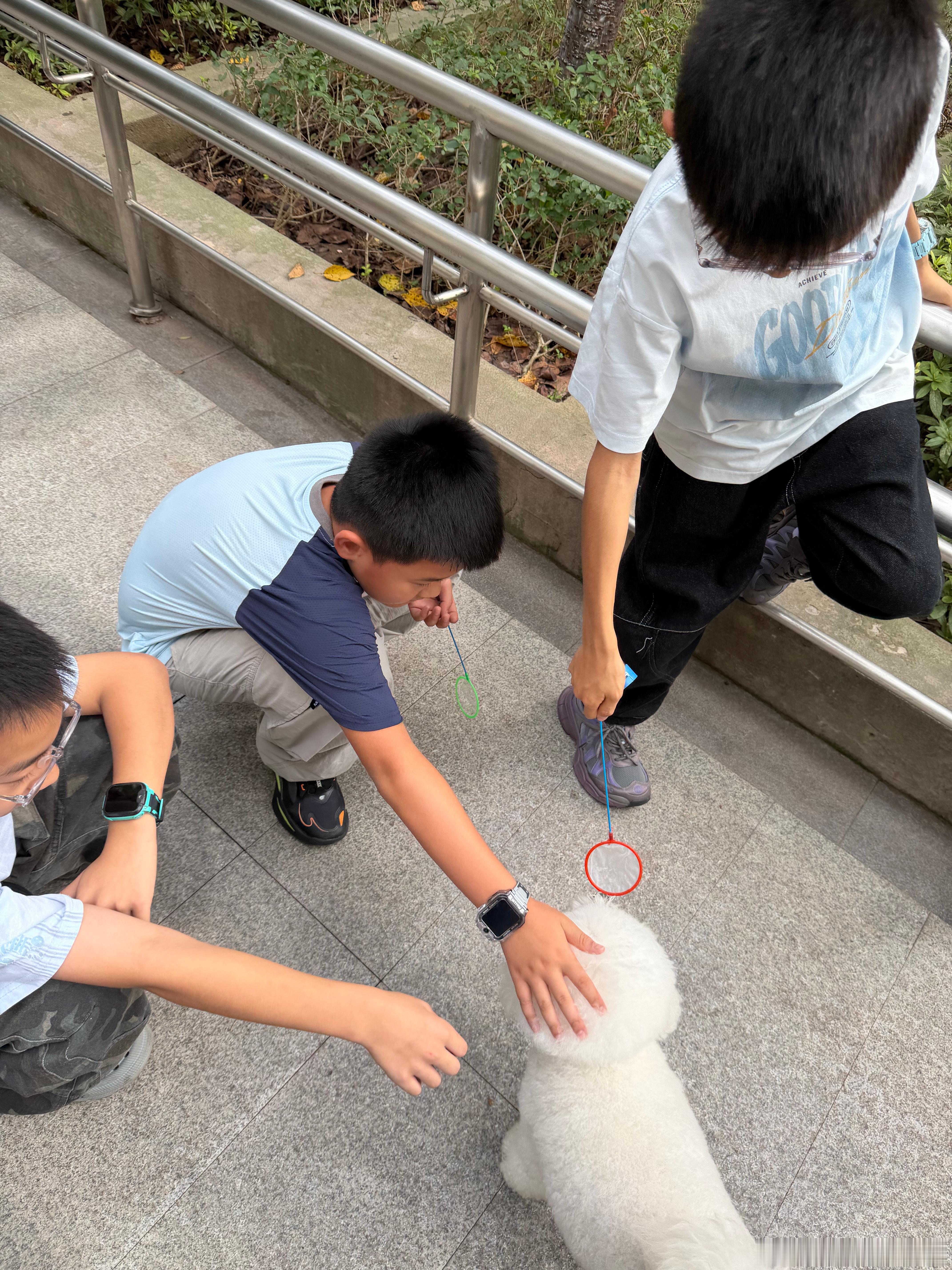 看我吸引异性： ​​​