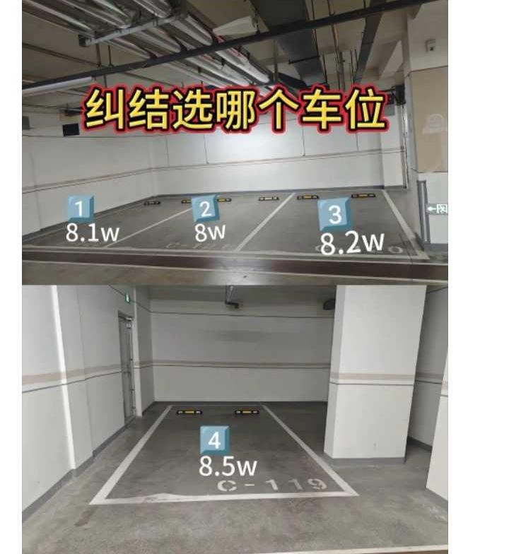 网友：你会选哪个车位呢？