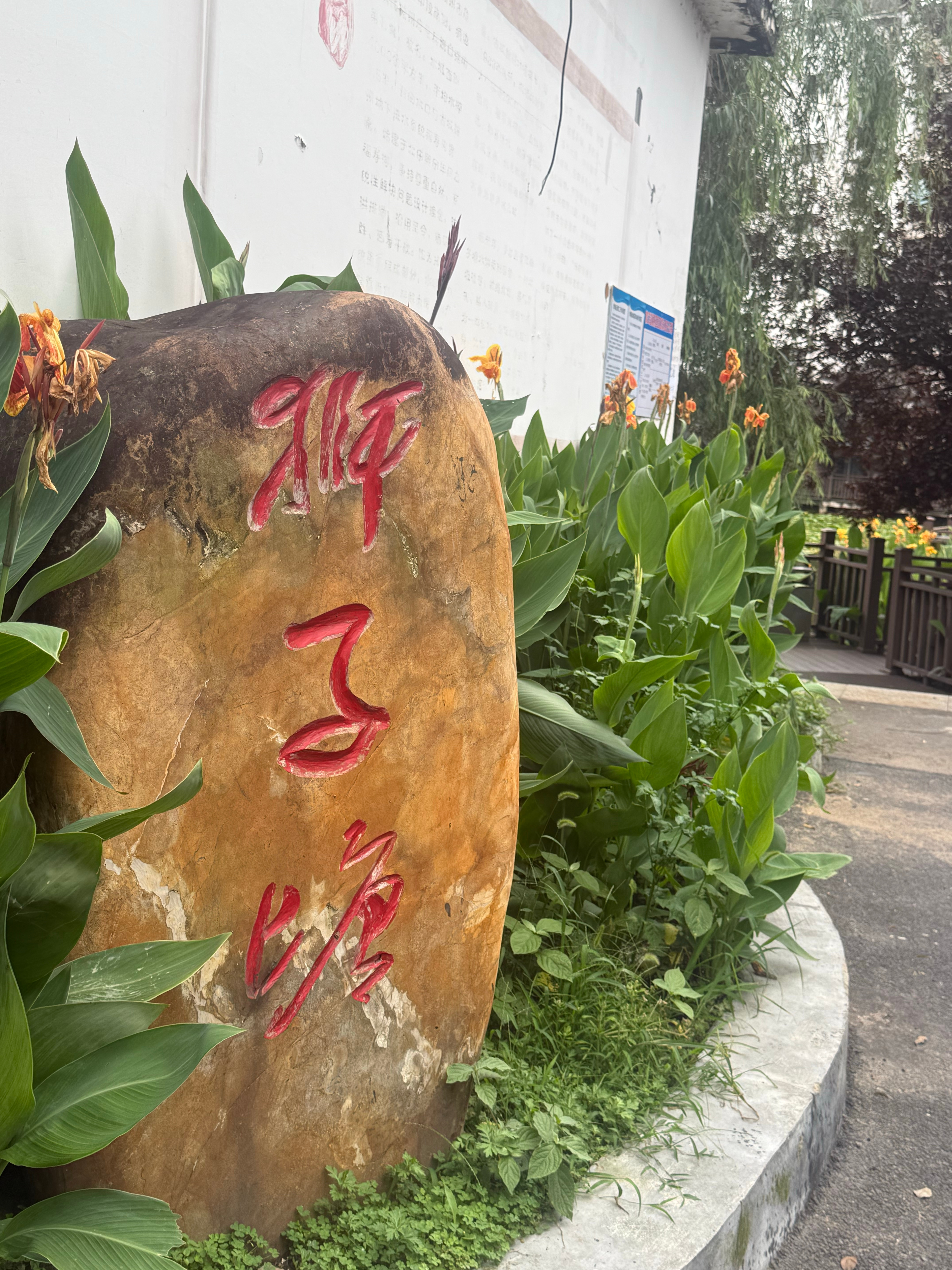 赣州早安 万物蓬勃生长，处处欣欣向荣。在热浪翻滚的日子里，愿你我每一天都充满明媚