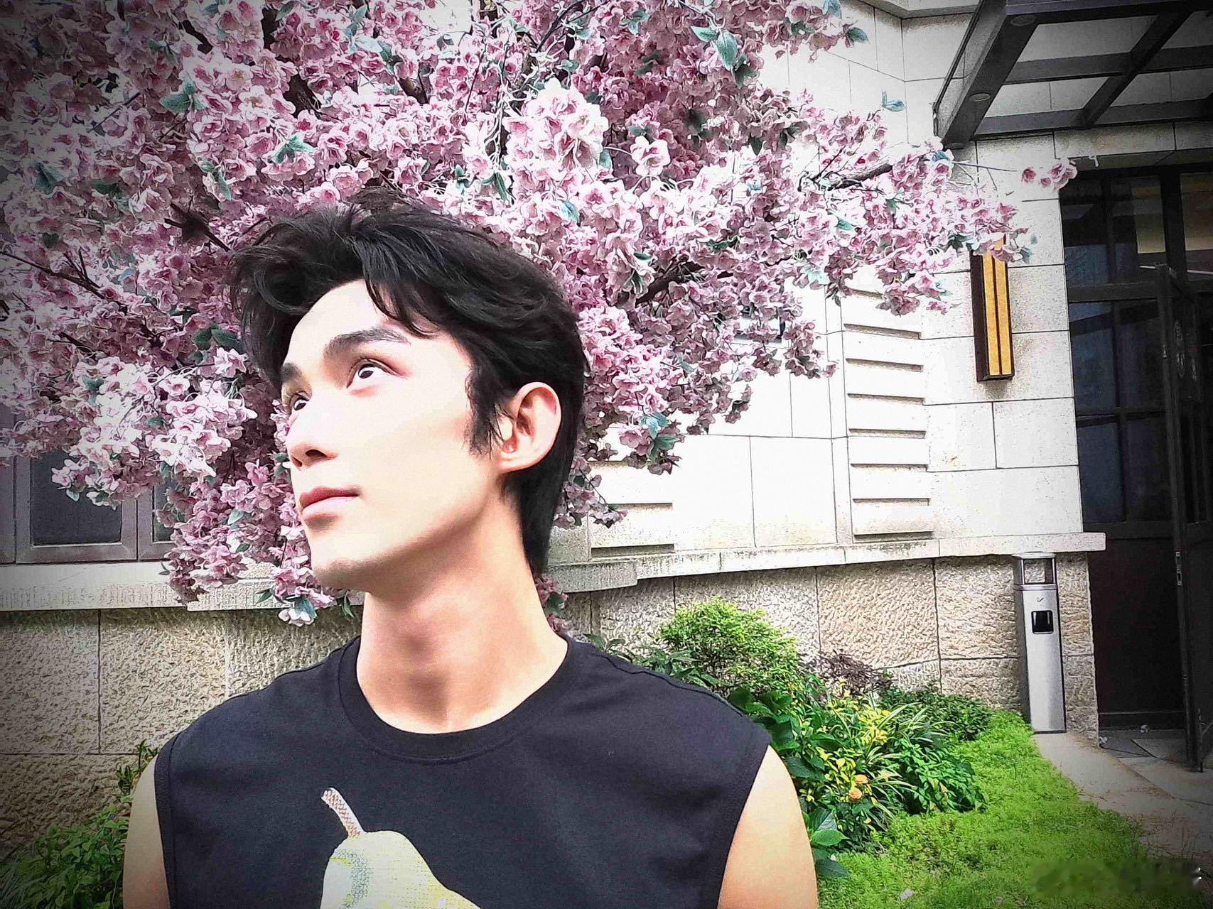 #吴磊溜达随拍# 是代表自由和快乐的夏天呀，院子里开满了鲜花，站在阳光下低眉浅笑