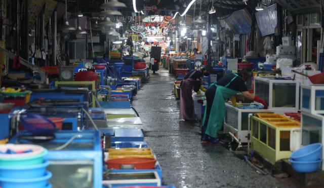 【韩国渔民团体称一旦发现核辐射超标将中断捕鱼活动】

日本于8月24日开始向海洋