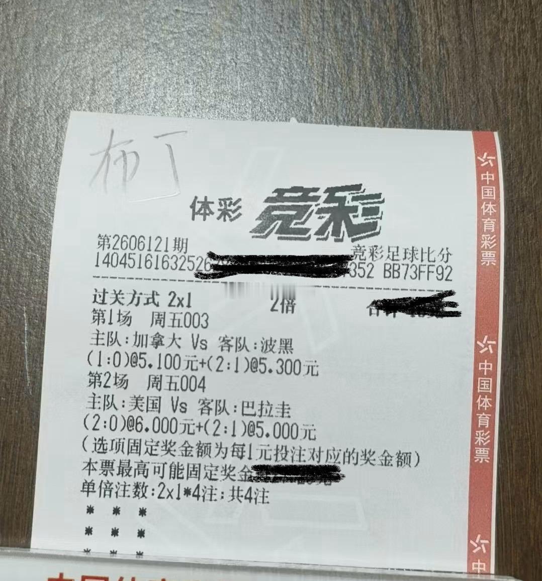 003  世界杯  加拿大vs波黑胜  10    21   11004  世界