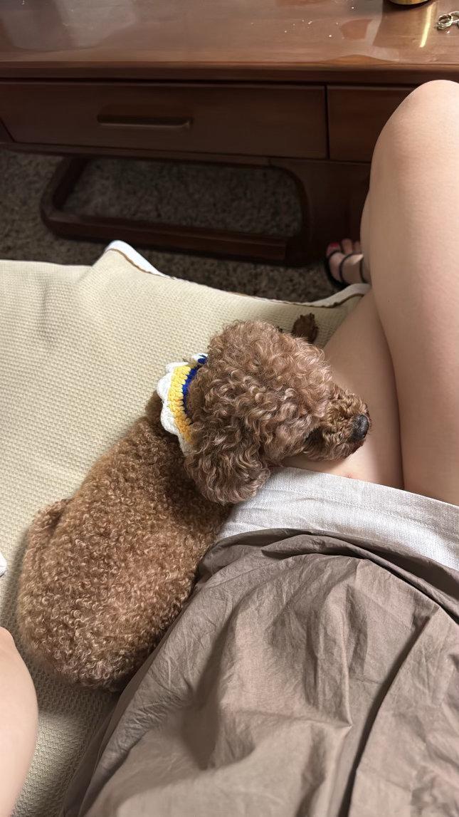 六月就这么过去了，美妙的六月 