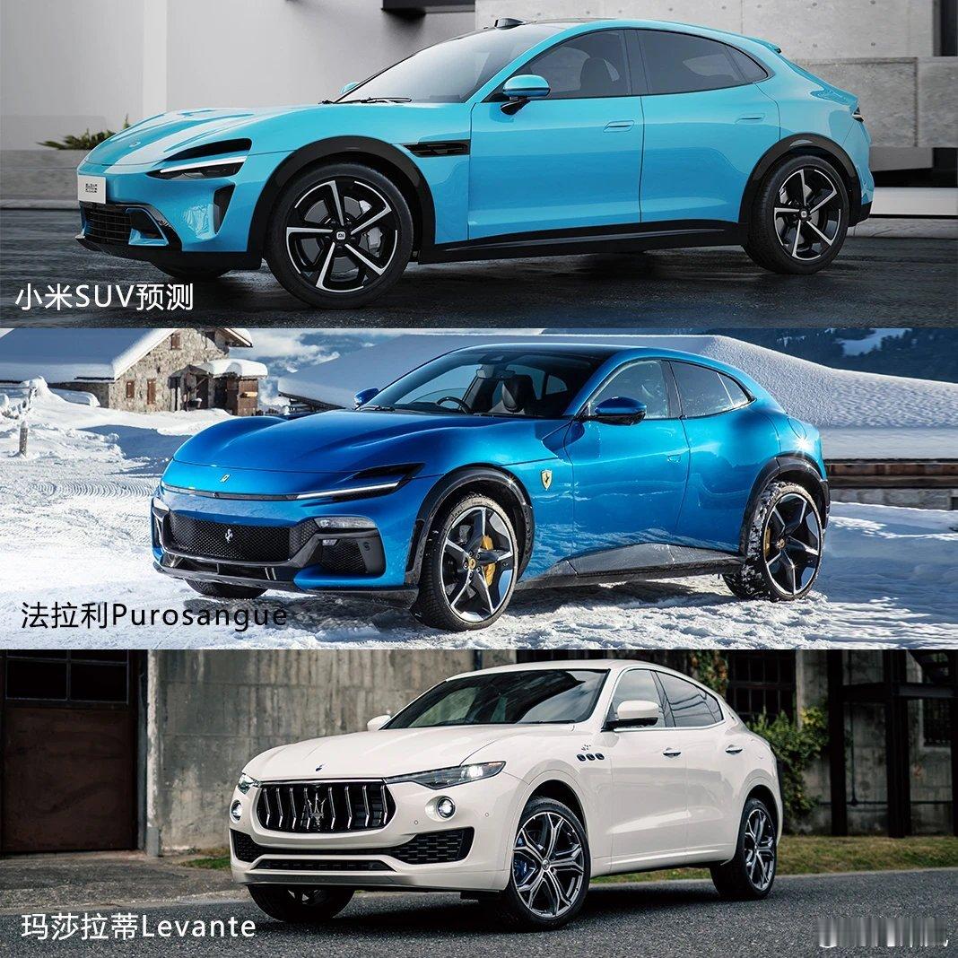 嚯，这对标的车可都不便宜啊，但是小米一定不会让我们失望的不是吗，咱就是说有亿点点