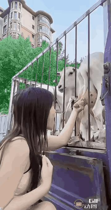 说起新鲜这件事儿，有谁敢跟这个一比高下？