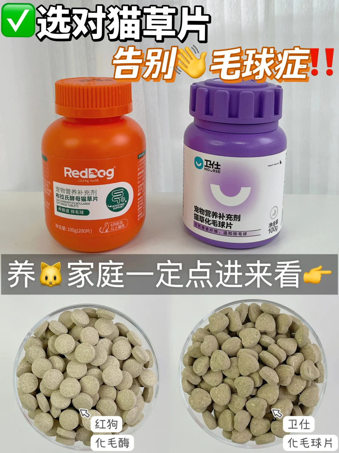 猫草片终极PK｜谁才是玻璃胃的排毛好物