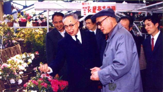 1985年4月29日中联部长钱礼仁访朝归来，刘仲文陪同到锦江山观赏丹东杜鹃花。
