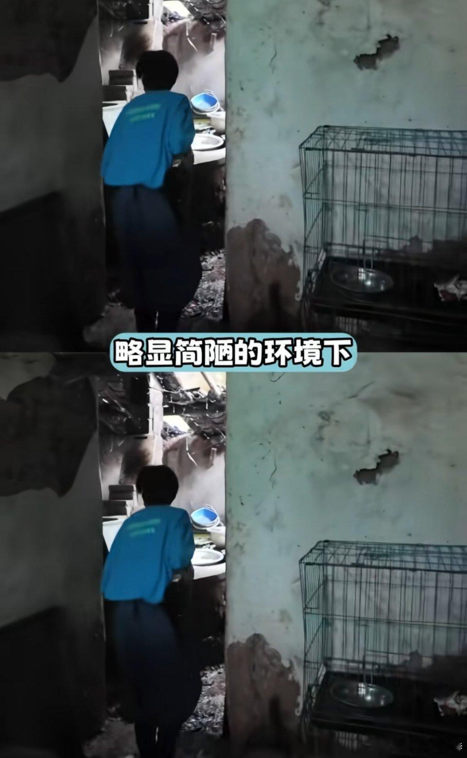 哎呀呀，刚刚刷到时代峰峻五代朱映宸的纪录片了，给他一天能自己支配的时间，居然是选