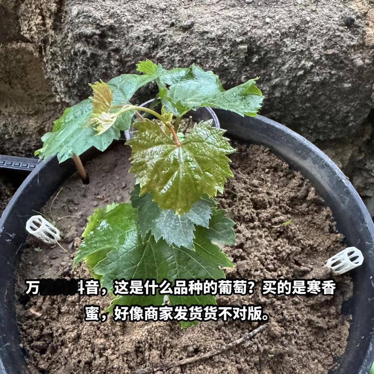 求助万能的。
