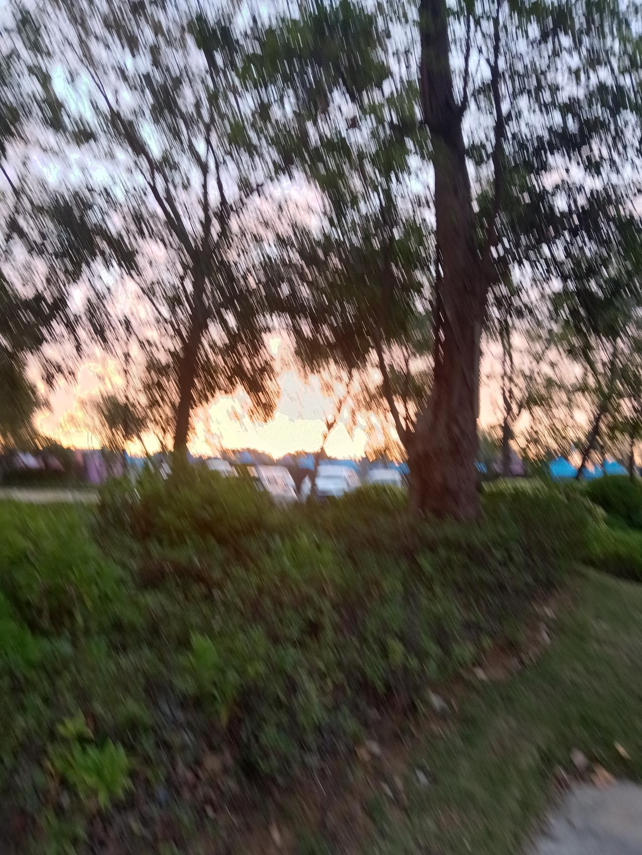 你能坚持每天发文吗能坚持每一天发文