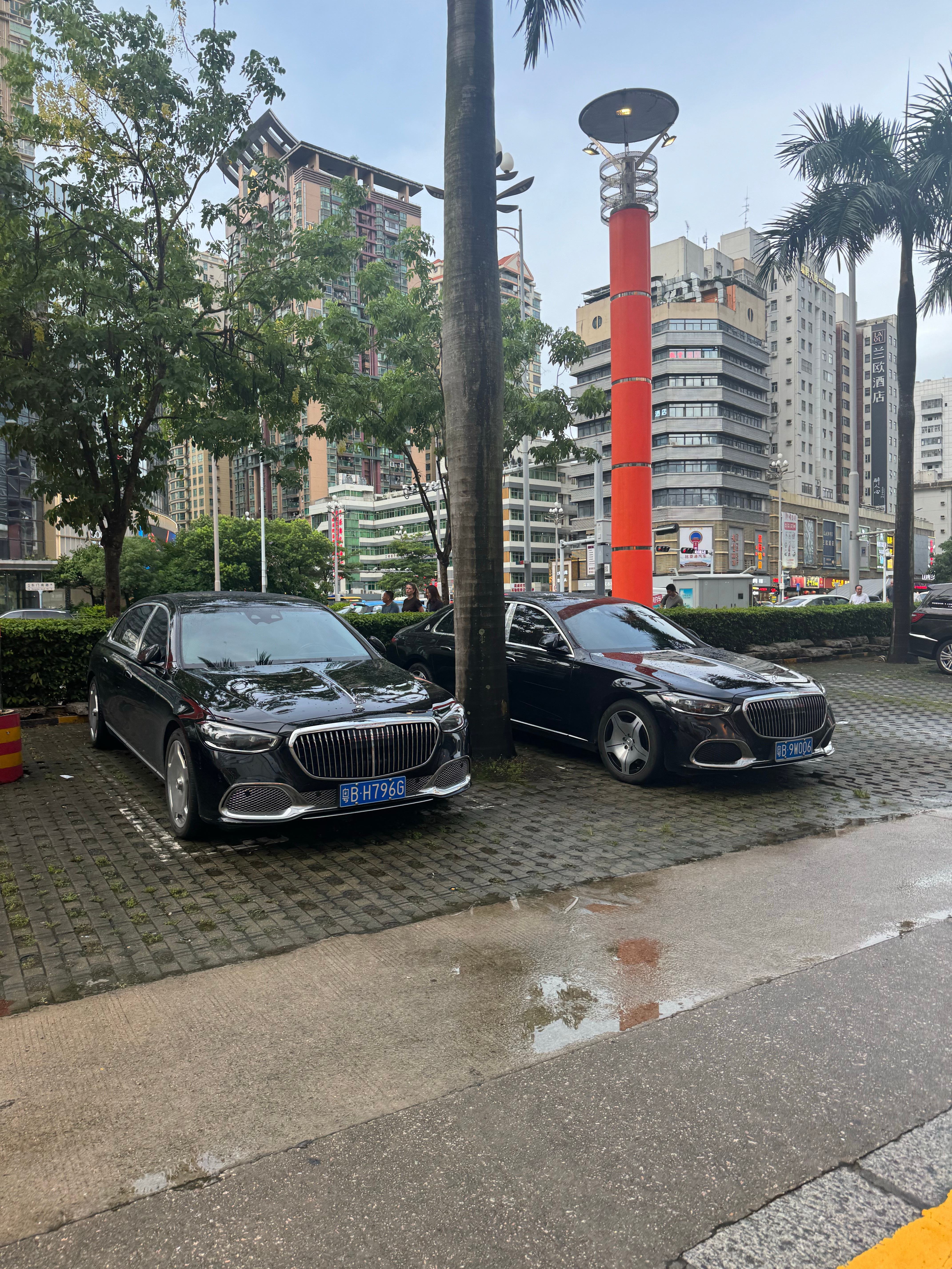 公司楼下的停车场🅿️这迈巴赫跟不要钱似的[允悲][允悲]  ​​​
