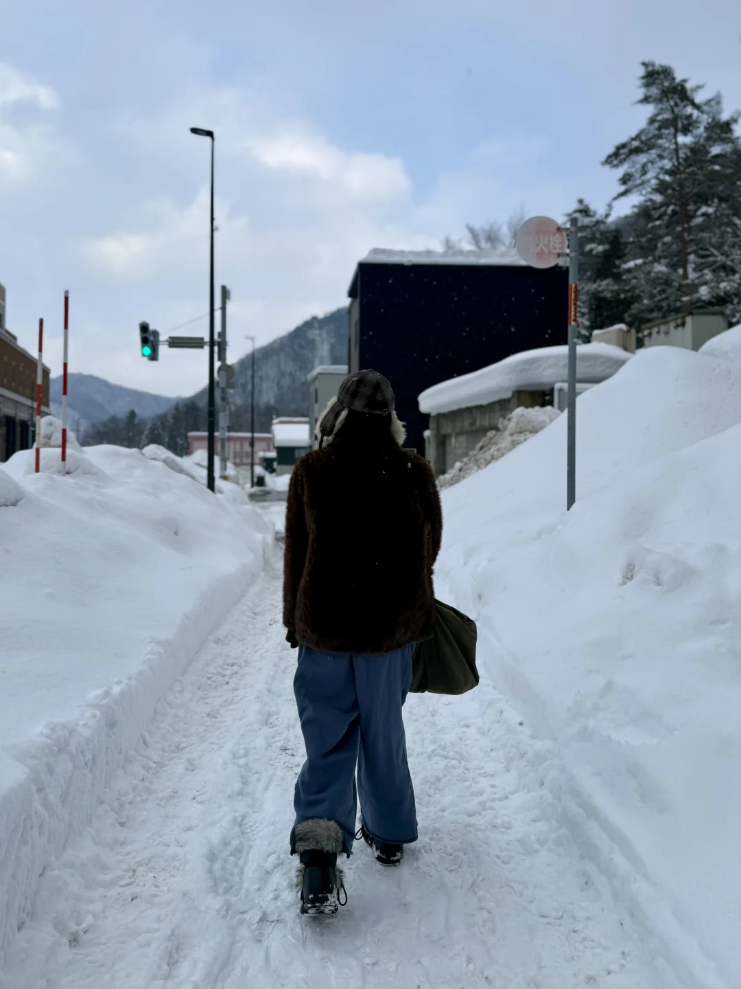 snowsnow ⸝ဗီူ⸜⸝ဗီူ⸜¸.•*¨*•❄︎