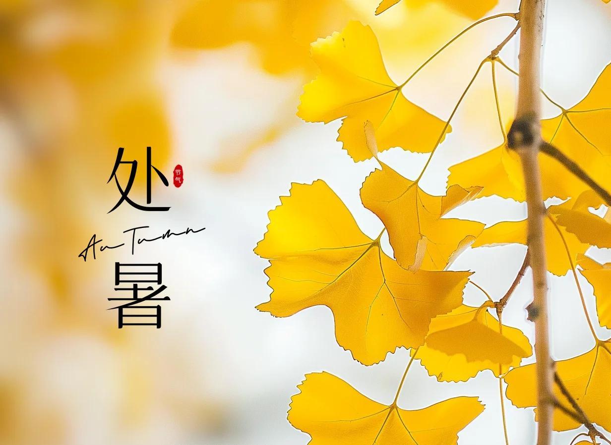 天上双星合，人间处暑秋。
稿成今夕会，泪洒隅年愁。