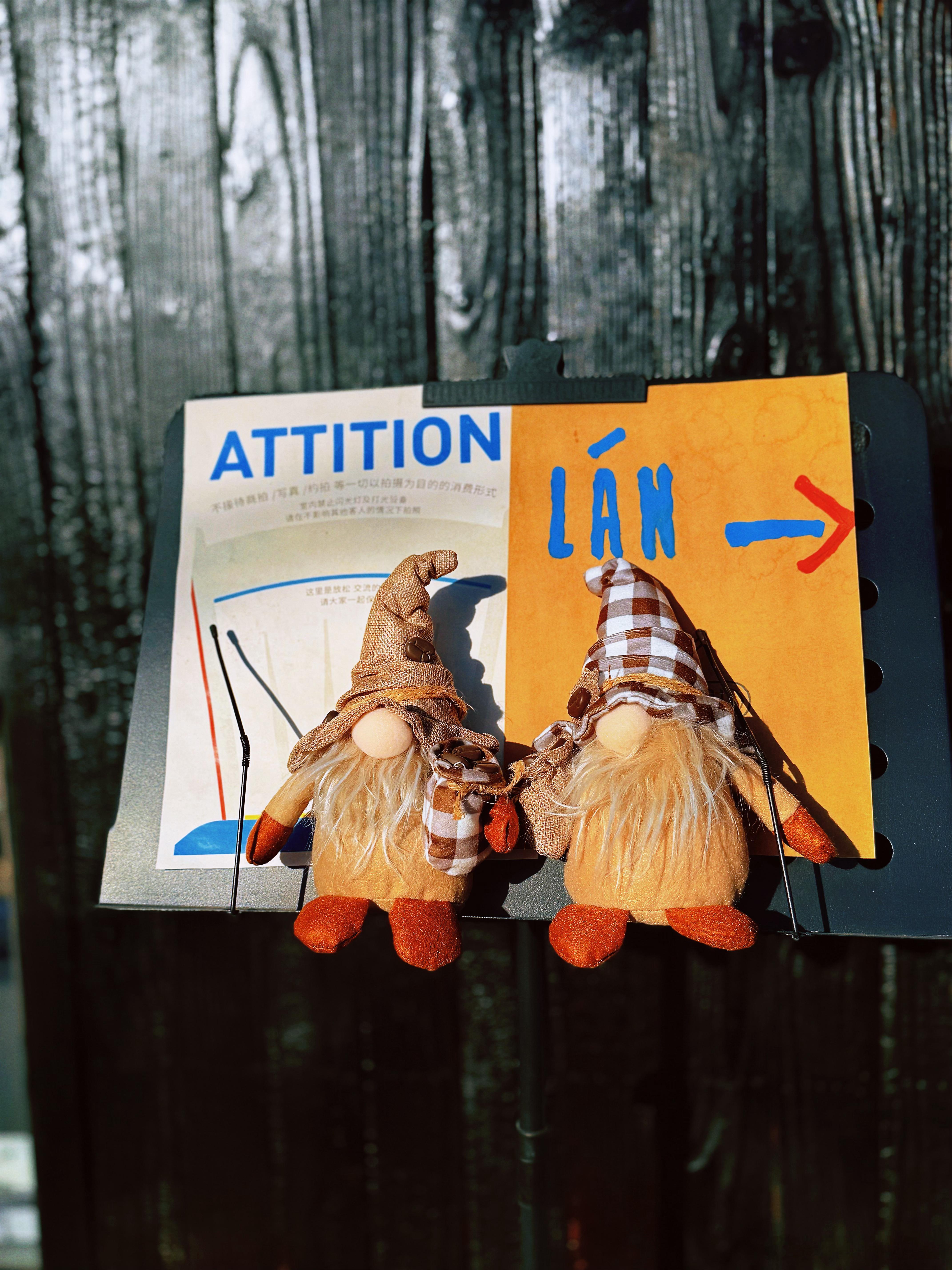 打卡一家又好拍，又好吃的店～圣诞氛围提前拉满🎄👏 北京·LÁN cafe蓝咖