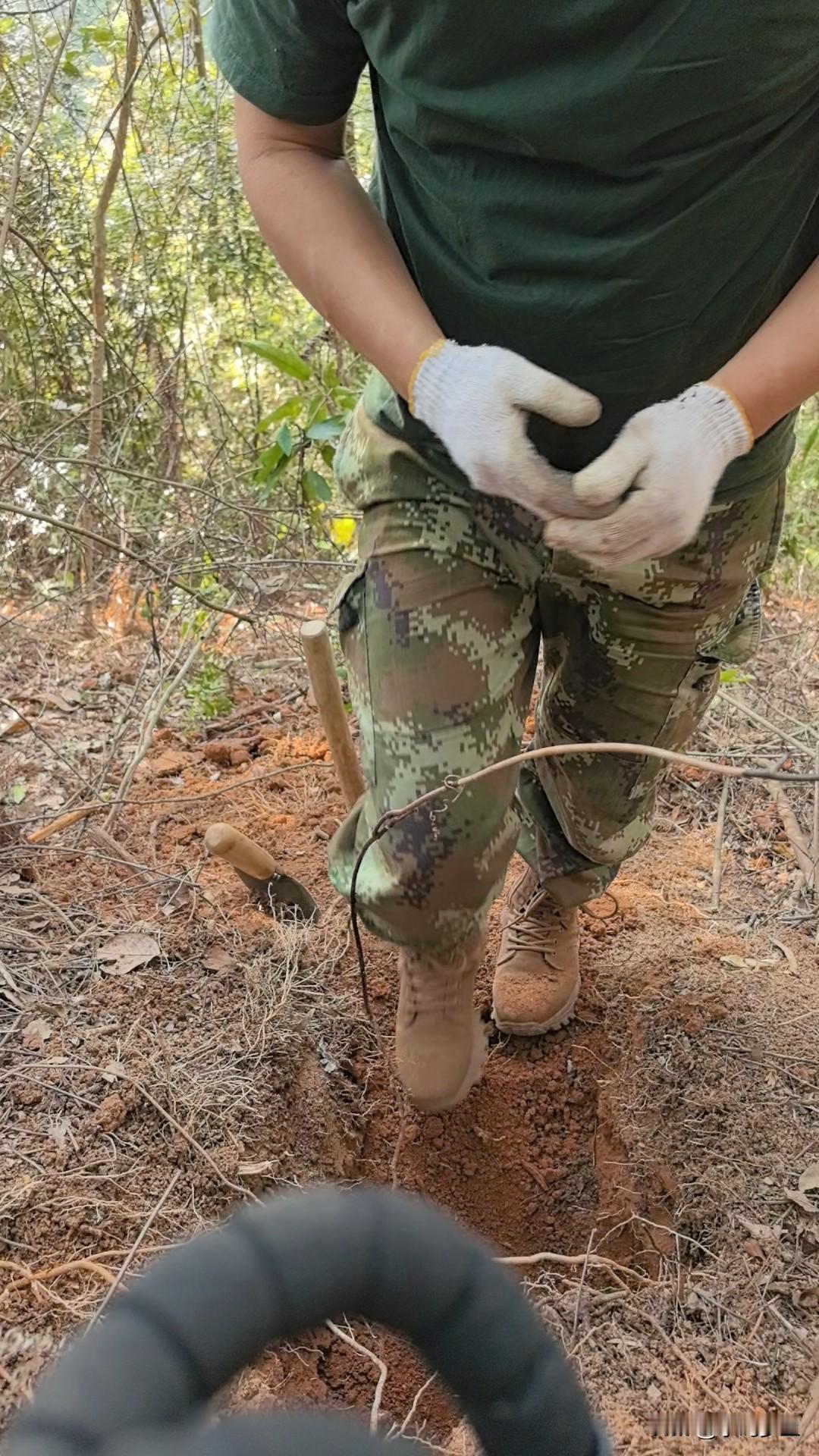 作为村医，上山采药也是基本日常工作，没有高大上的坐诊办公室，没有空调设备，没有精