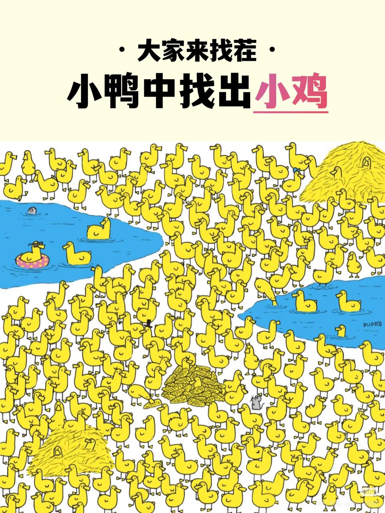 10万人都说难！你能在小鸭子群中找到那只小鸡🐥吗？