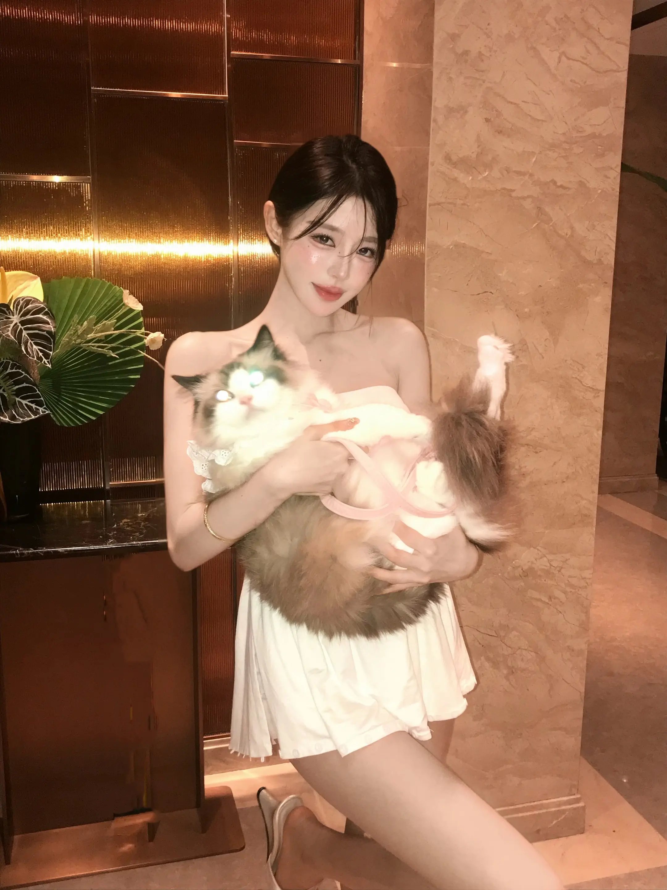 做我的猫