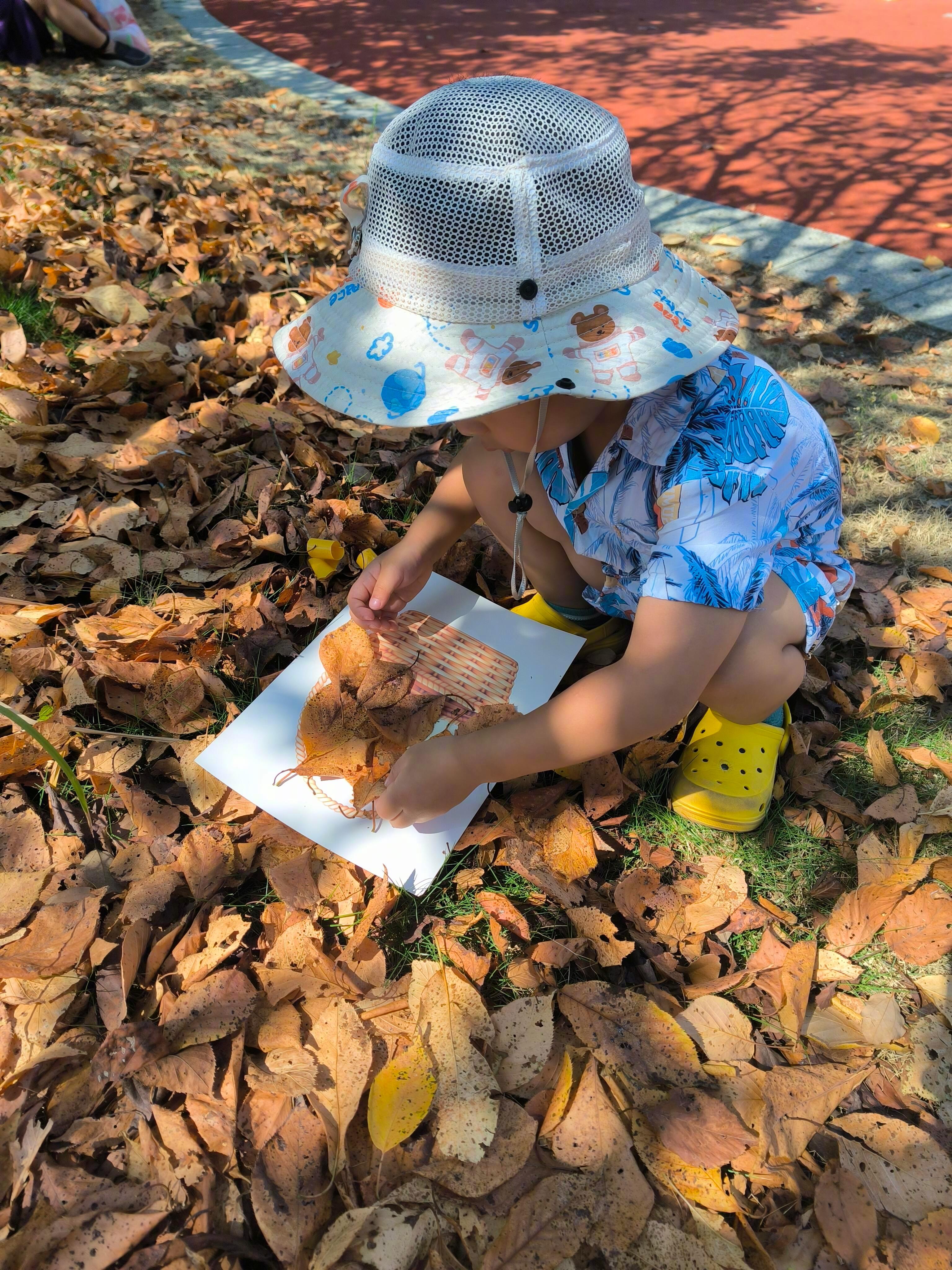 中秋许个圆中秋宅在家宝贝成长守护计划 🍂当然要带孩子户外捡秋去呀捡秋的仪式感给