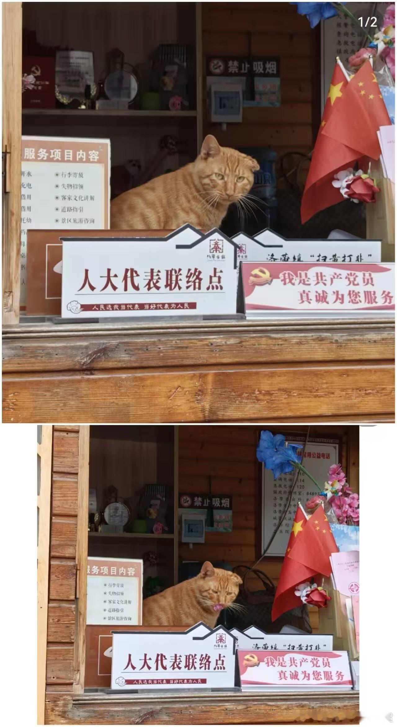 代表同志，这里有冻干。。。。。[二哈] ​​​