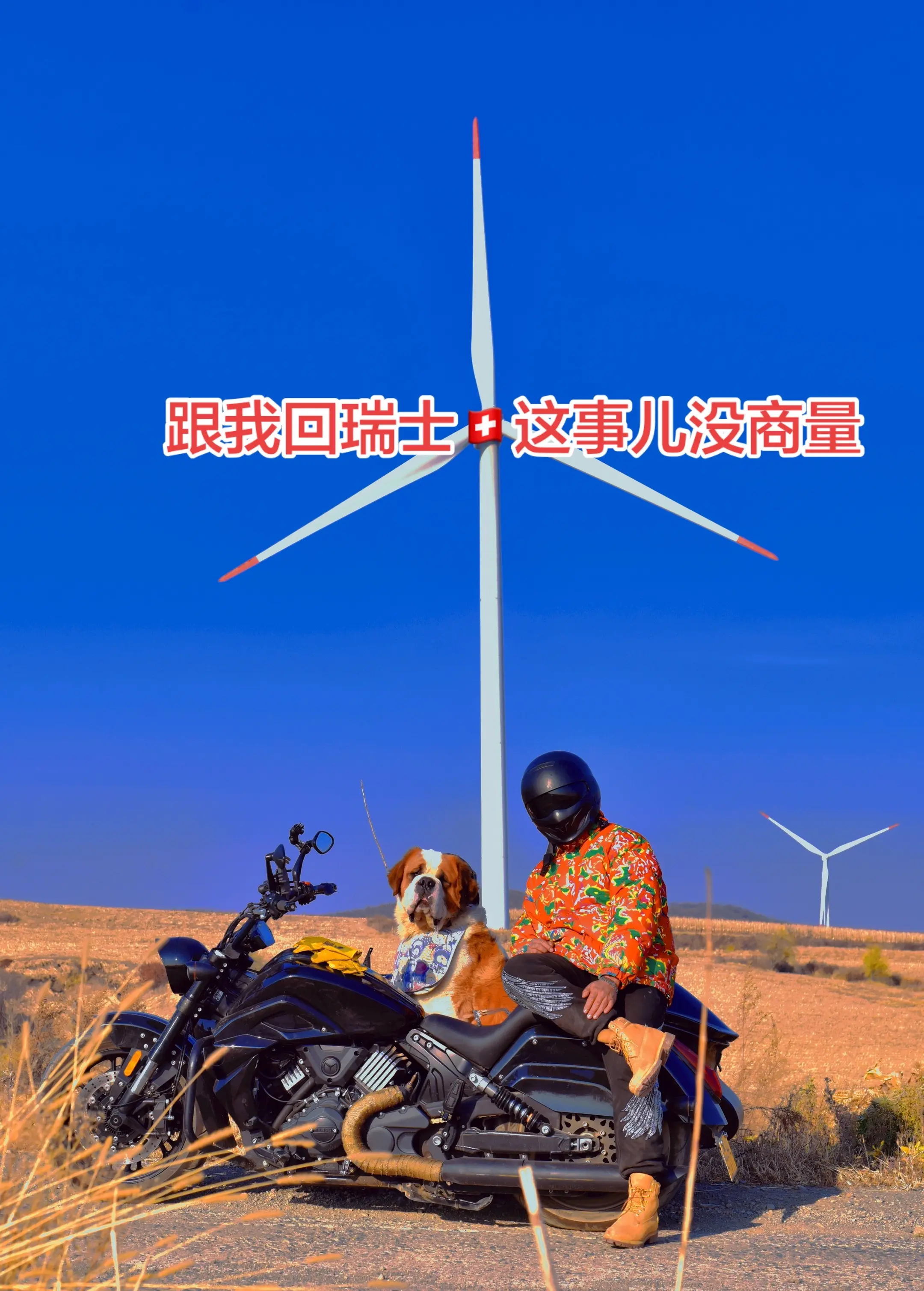 跟我回瑞士🇨🇭这事儿，没得商量