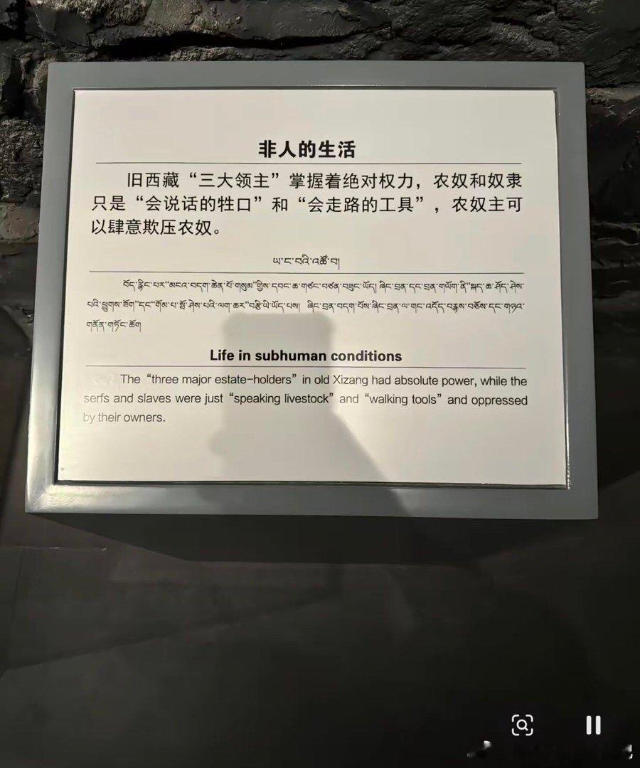 npd什么恶行都能做的出