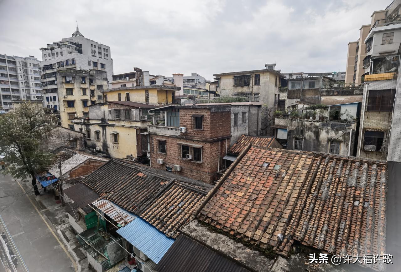 肇庆的老城区还有着一两层的砖瓦墙壁屋顶的旧建筑，时光似乎在这里停住了它的脚步……