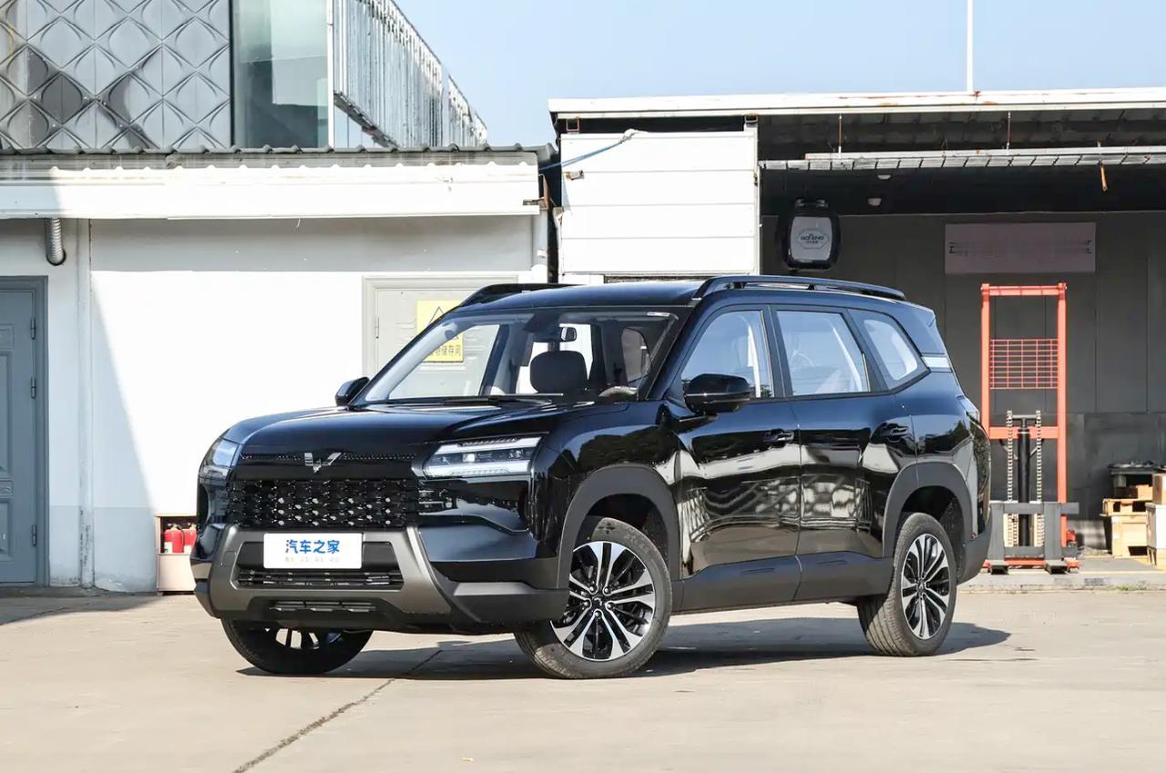 五菱星光560：家用务实之选，空间与实用性真实表现

五菱星光560是一款面向普