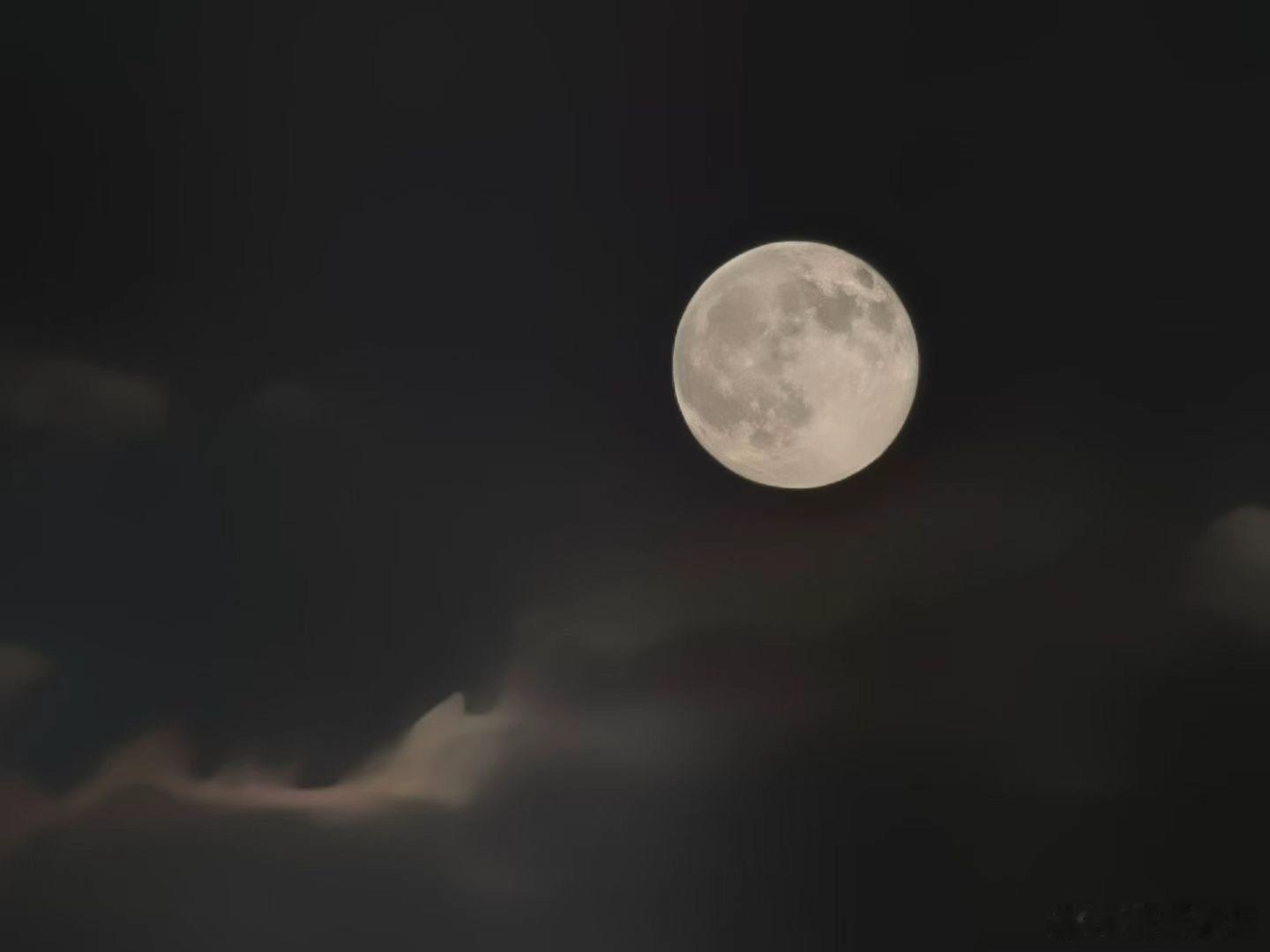 随手拍不要去责怪身边任何人，好的人给你带来快乐，坏的人给你带来经历，即使是最差劲