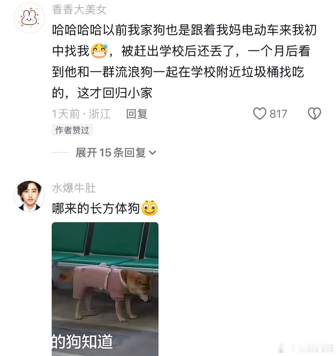🐶：你怎么在这里当别人的🐶 ！！！ 