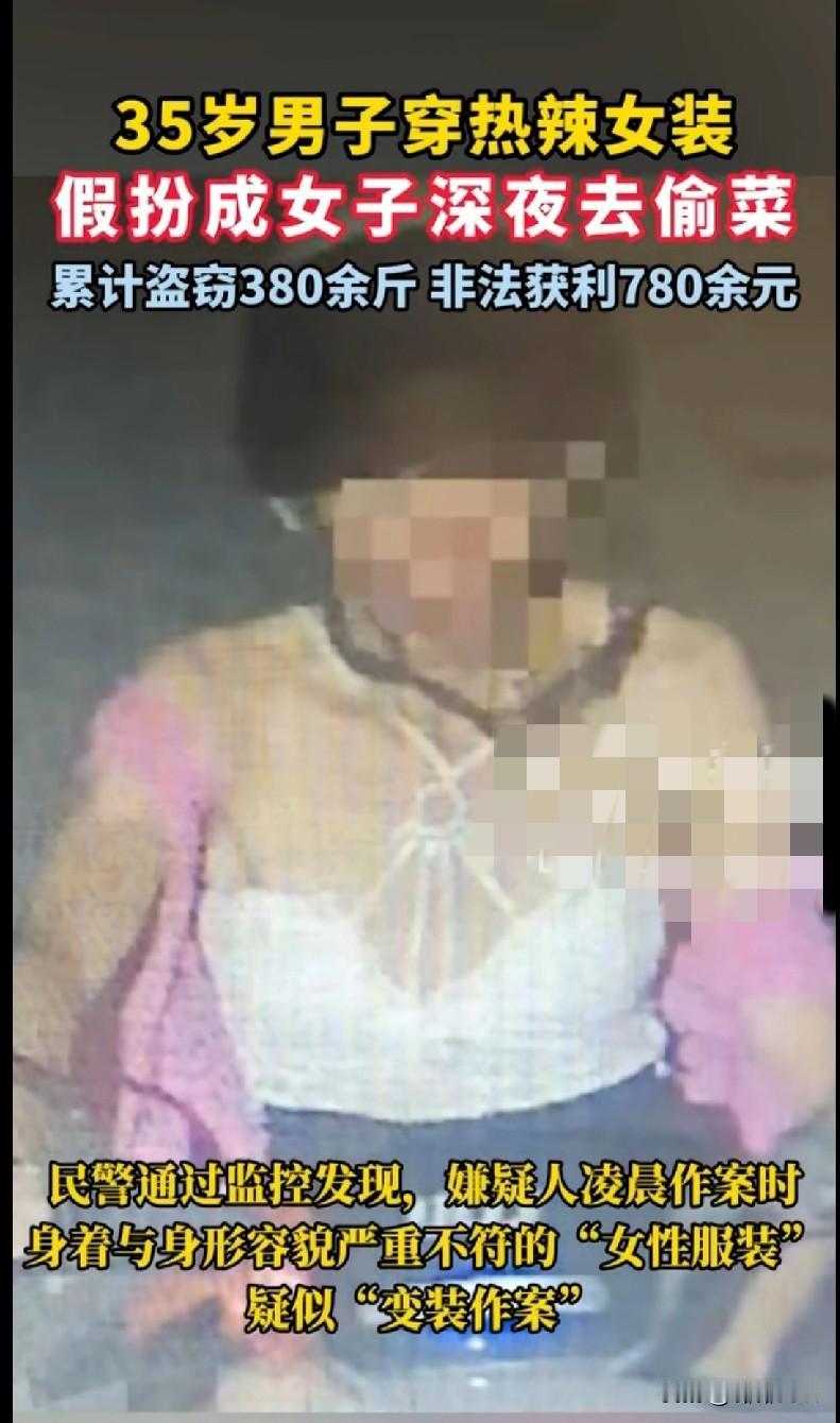 “笑不活了家人们！35岁大哥为了偷菜，居然穿热辣女装深夜‘变装’作案！累计偷了3