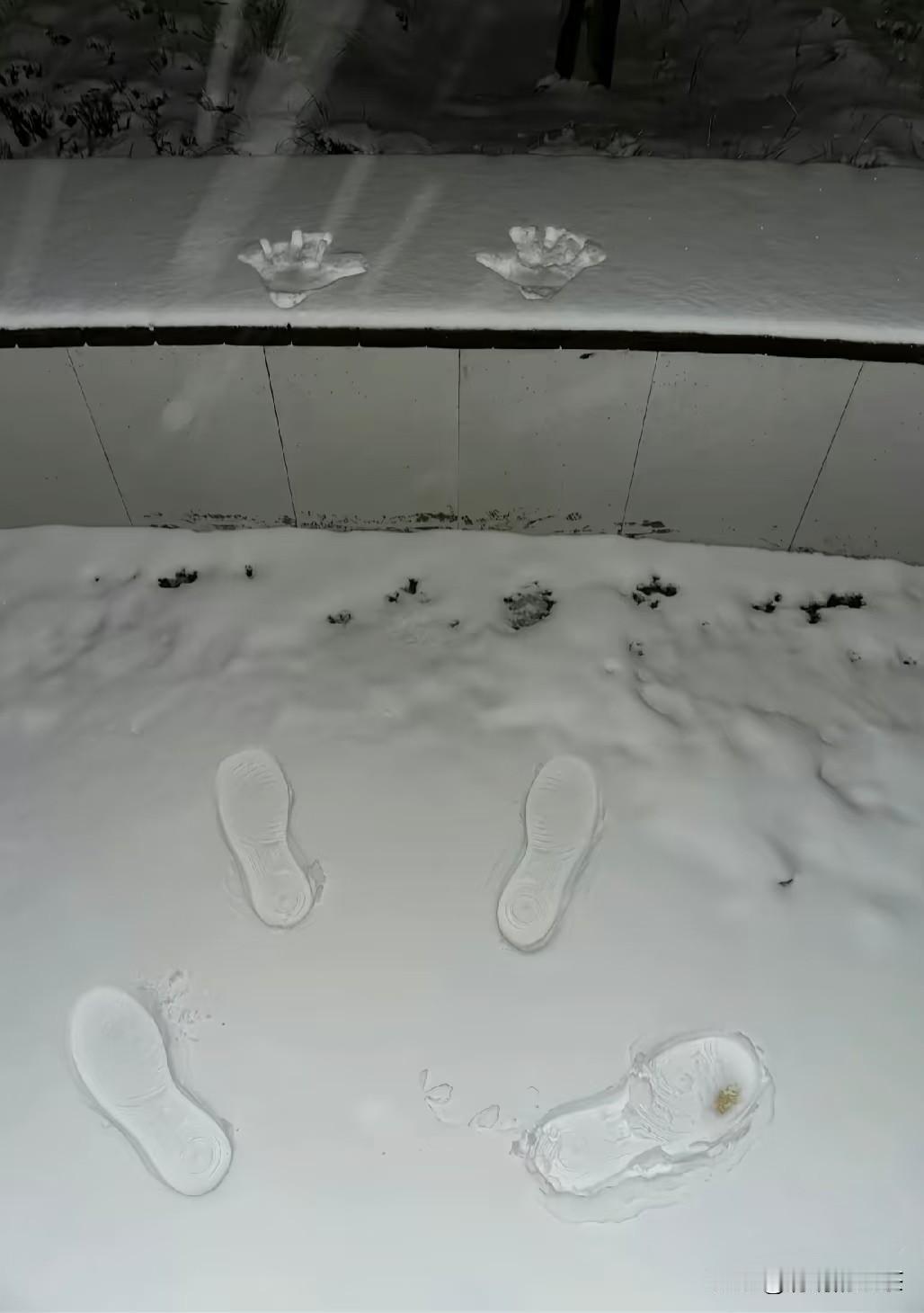 下雪的季节谁人懂？也不知道是谁留下的脚印……