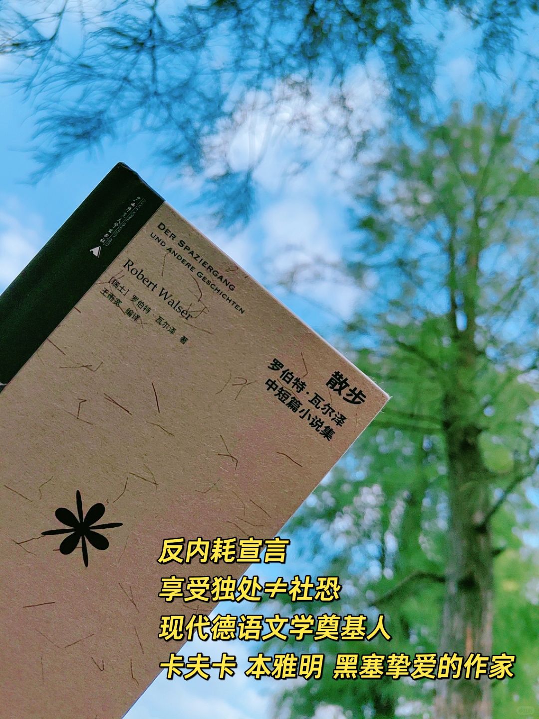 自由的追逐者，跟瓦尔泽一起散步！