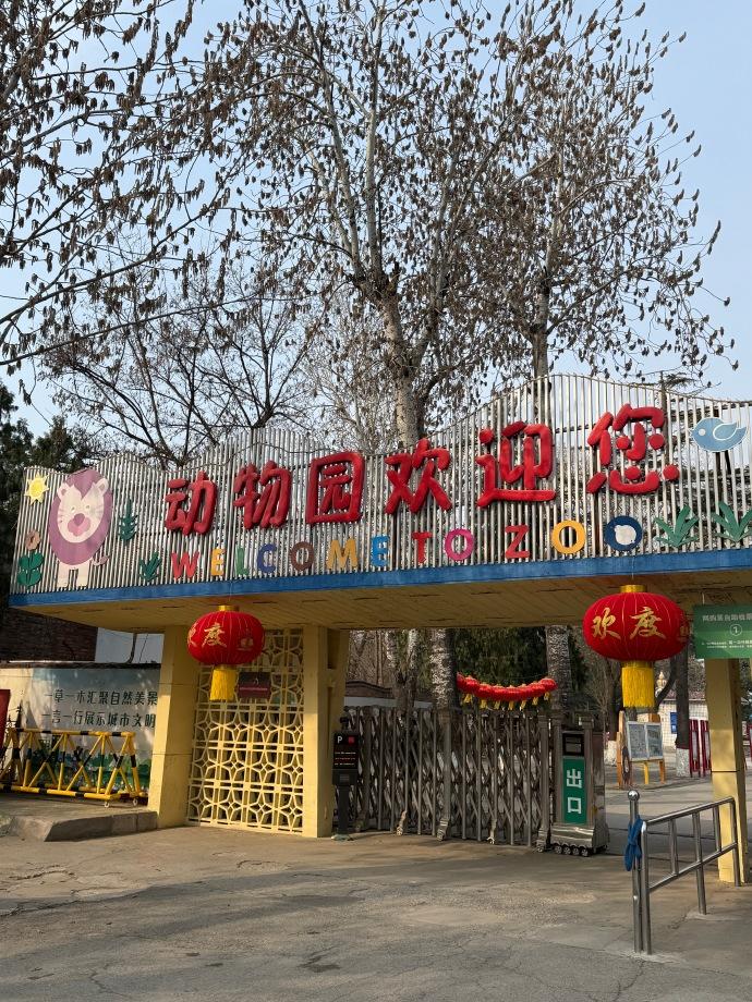 要说保定这二十年最没有变化的就属动物园了吧。