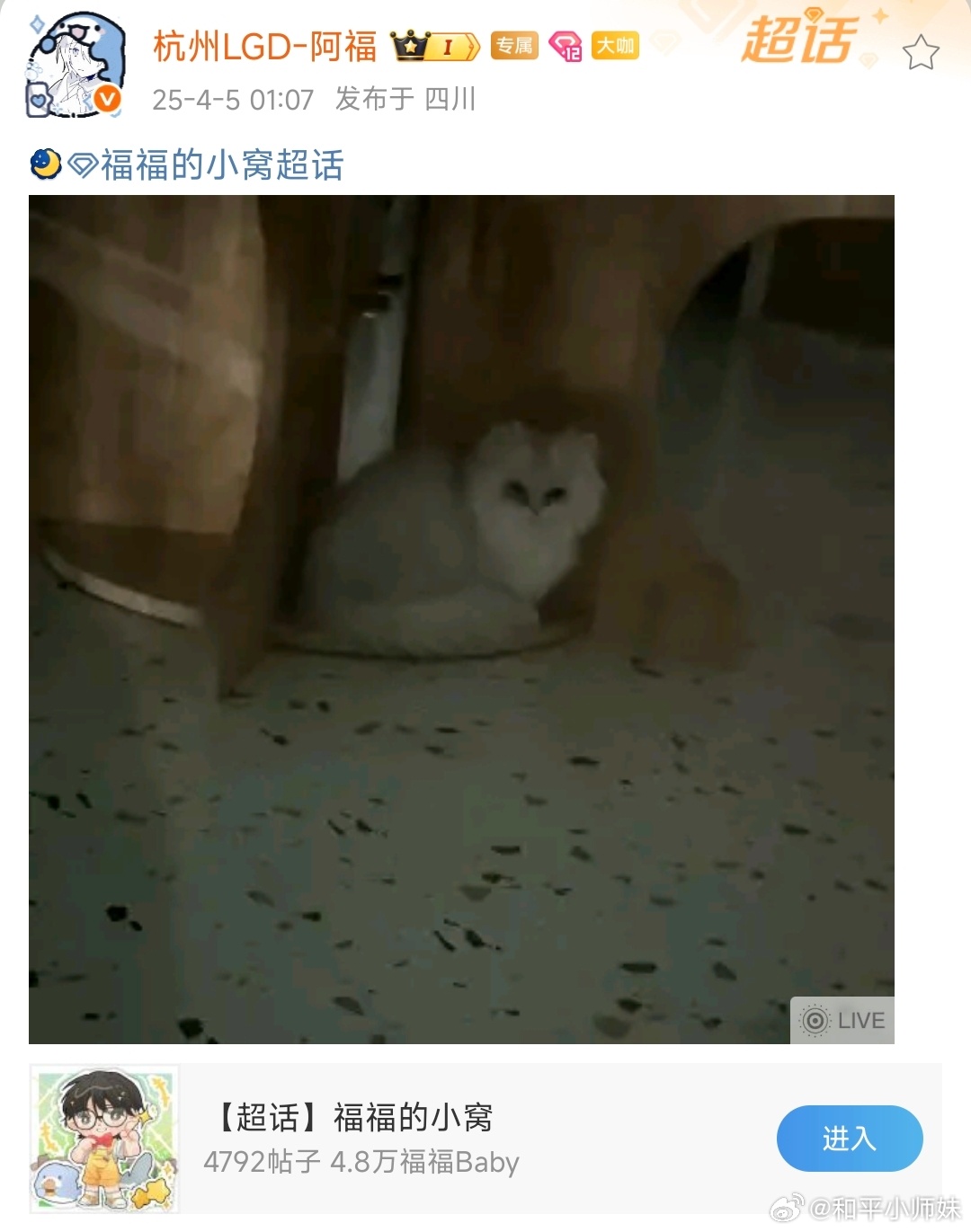 福福可爱还是小猫可爱[送花花]和平精英职业联赛[超话]2025pel春季赛 ​​