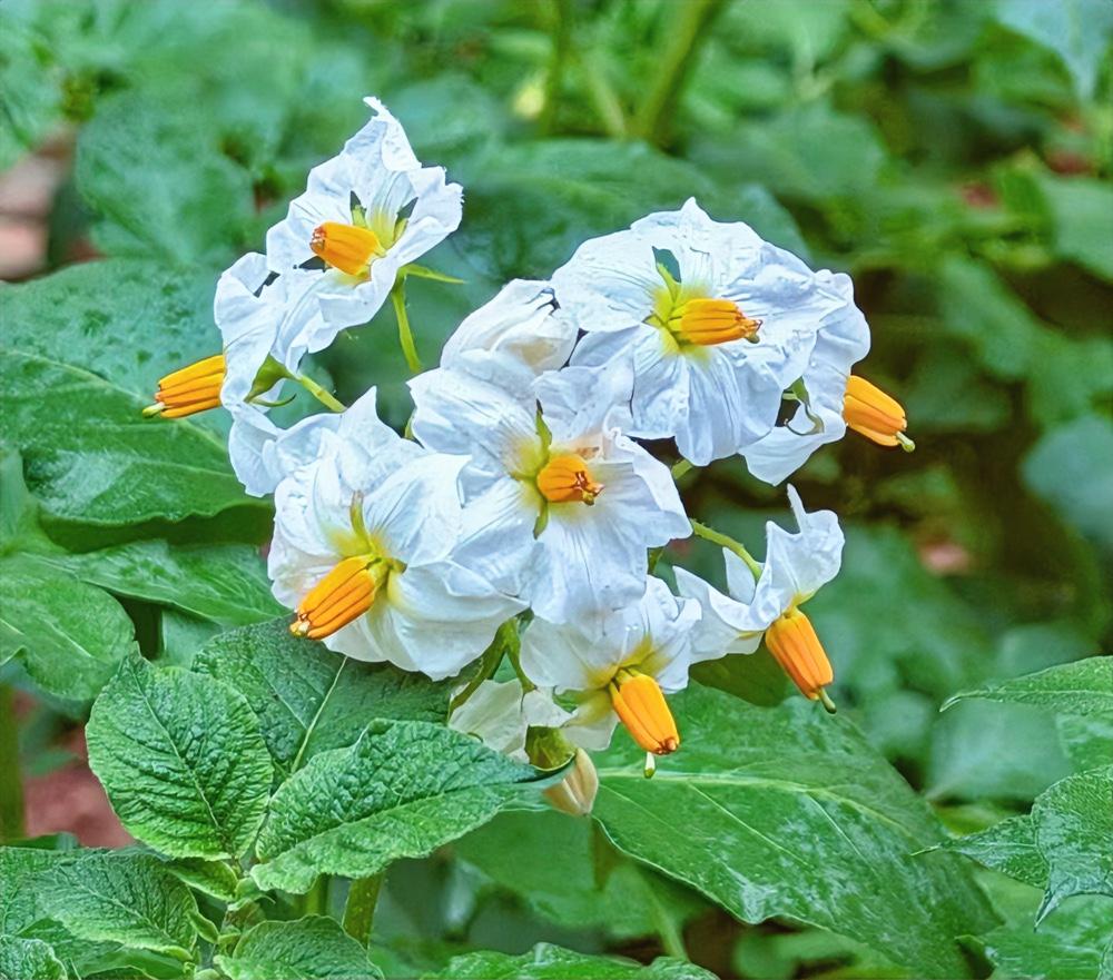 一位老中医说得特别实在：男人真正最好的滋补，根本不是人参鹿茸这些名贵药材，其实就