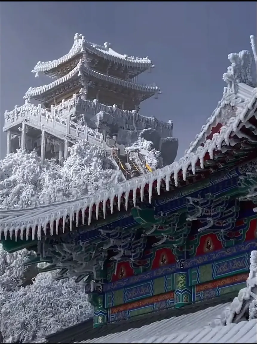 人生最痛苦的一课 ，就是你信任的人，教会了你不能相信任何人。