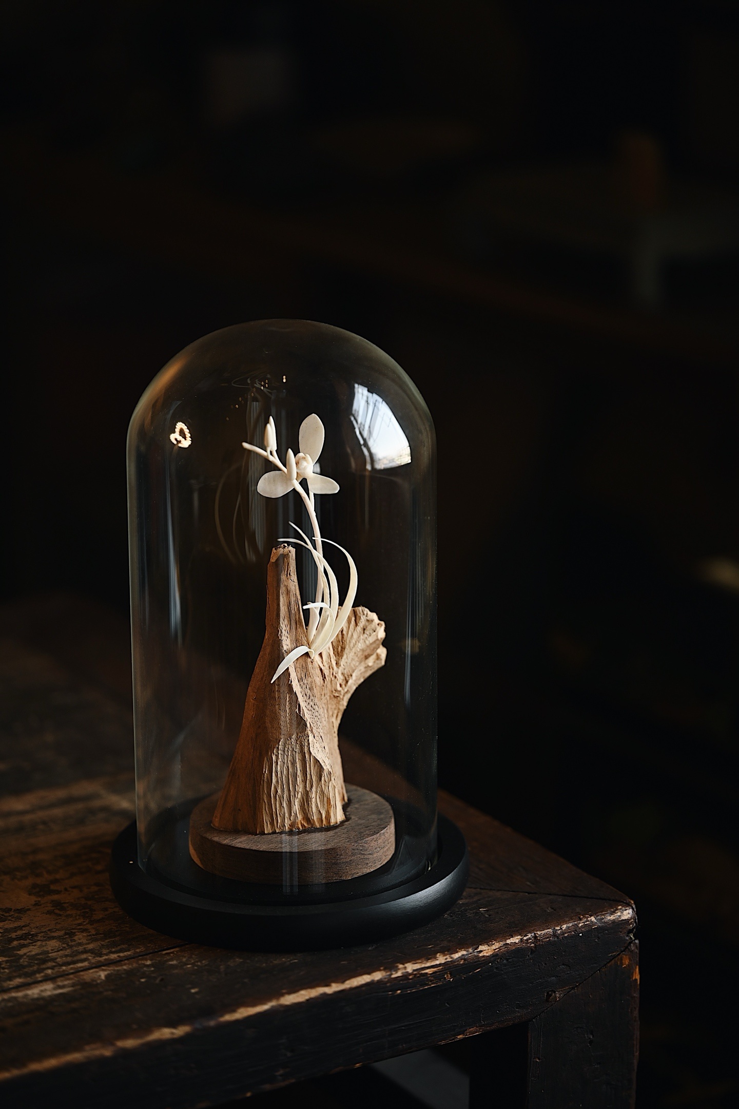 沉香x猛犸 | 石上兰 小摆件随形就势，尽显山林野趣，其上幽兰花叶纤毫毕现，一枯