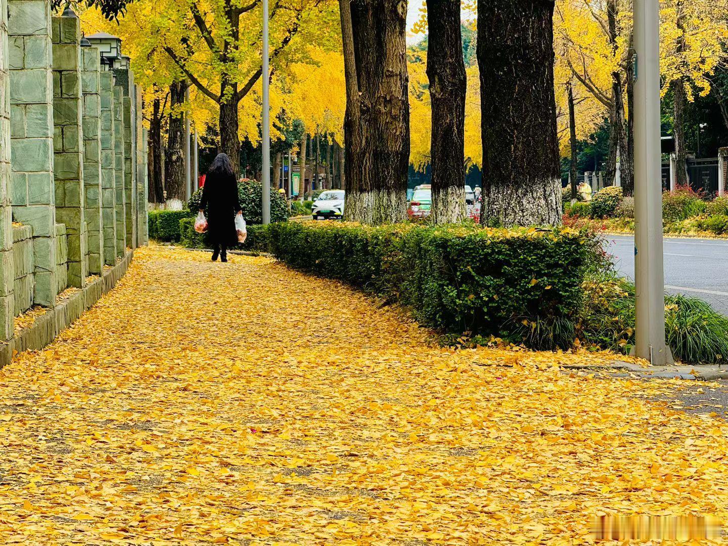 今天降温了，大家都穿秋裤了吗？ 