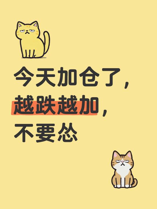 今天加仓了，越跌越加，不要怂